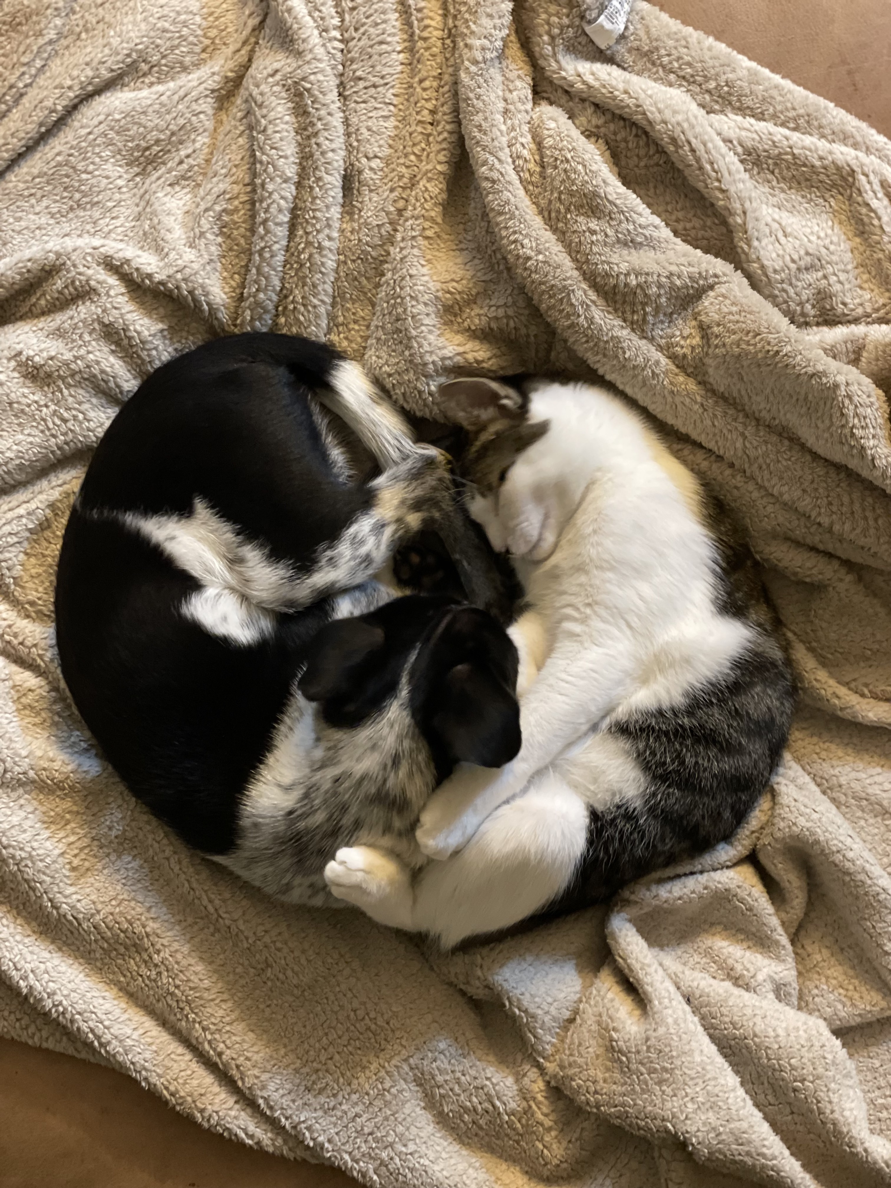 다림(다니) 온 지 3개월 후