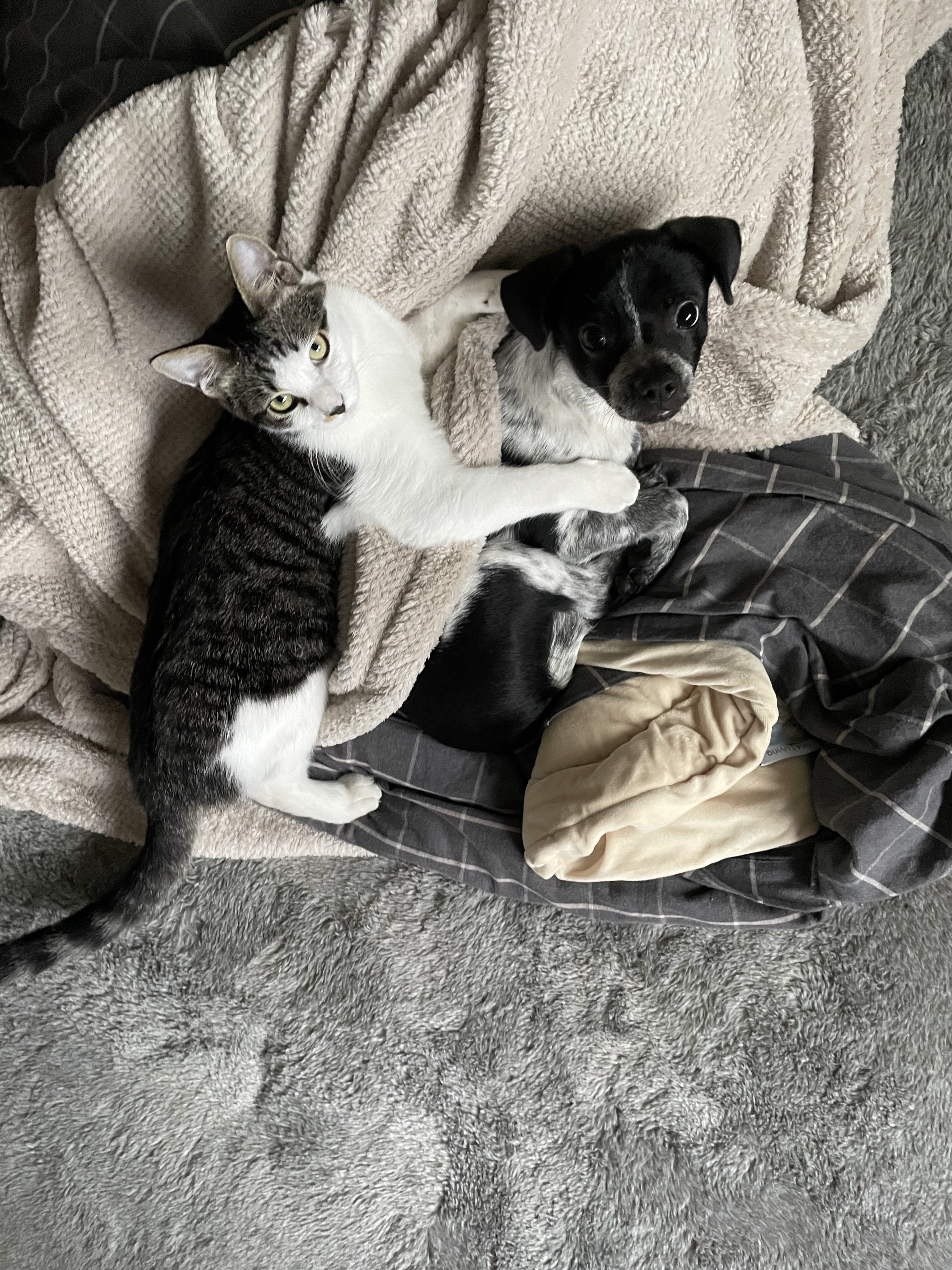 다림(다니) 온 지 3개월 후