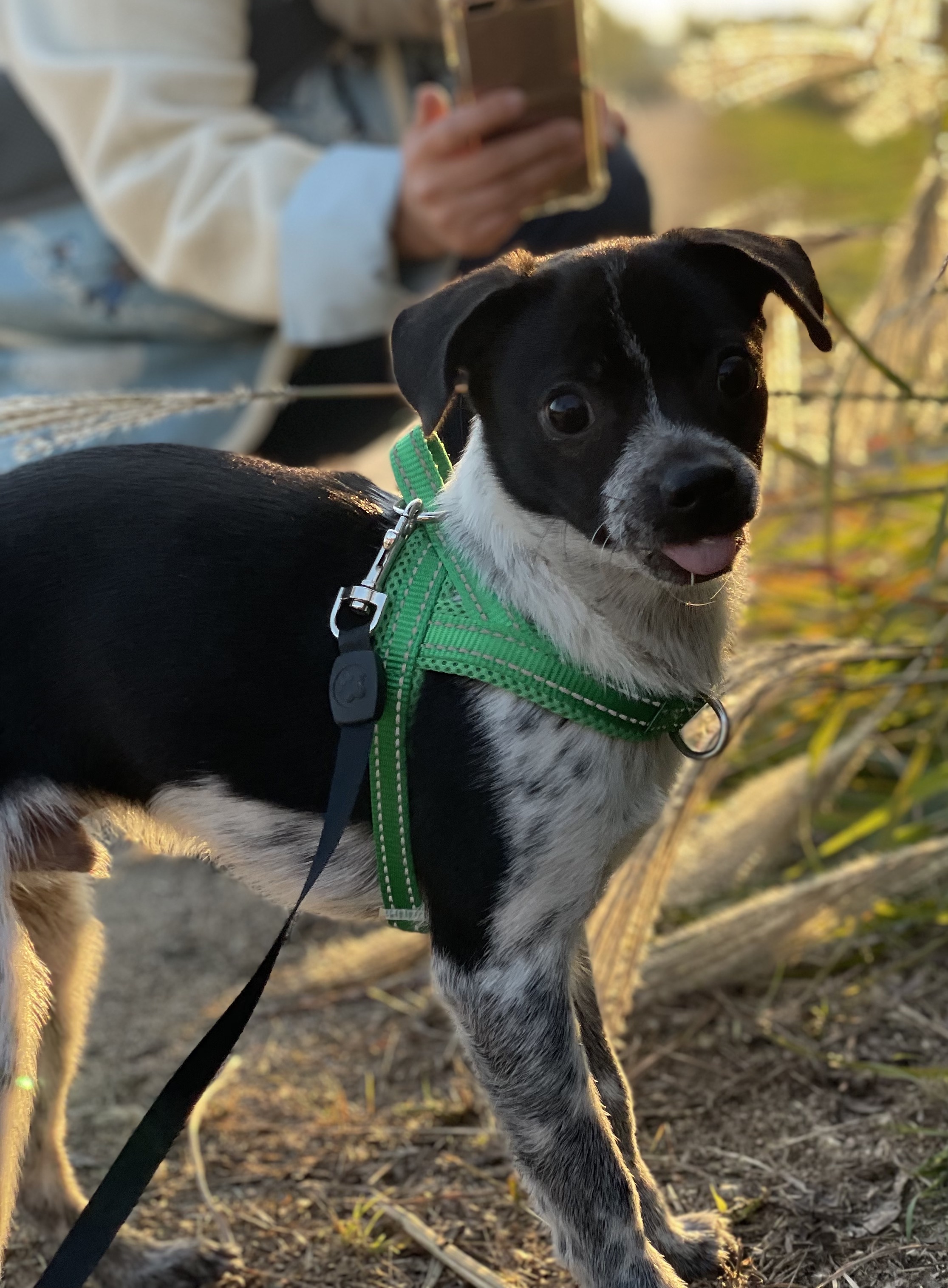 다림(다니) 온 지 3개월 후