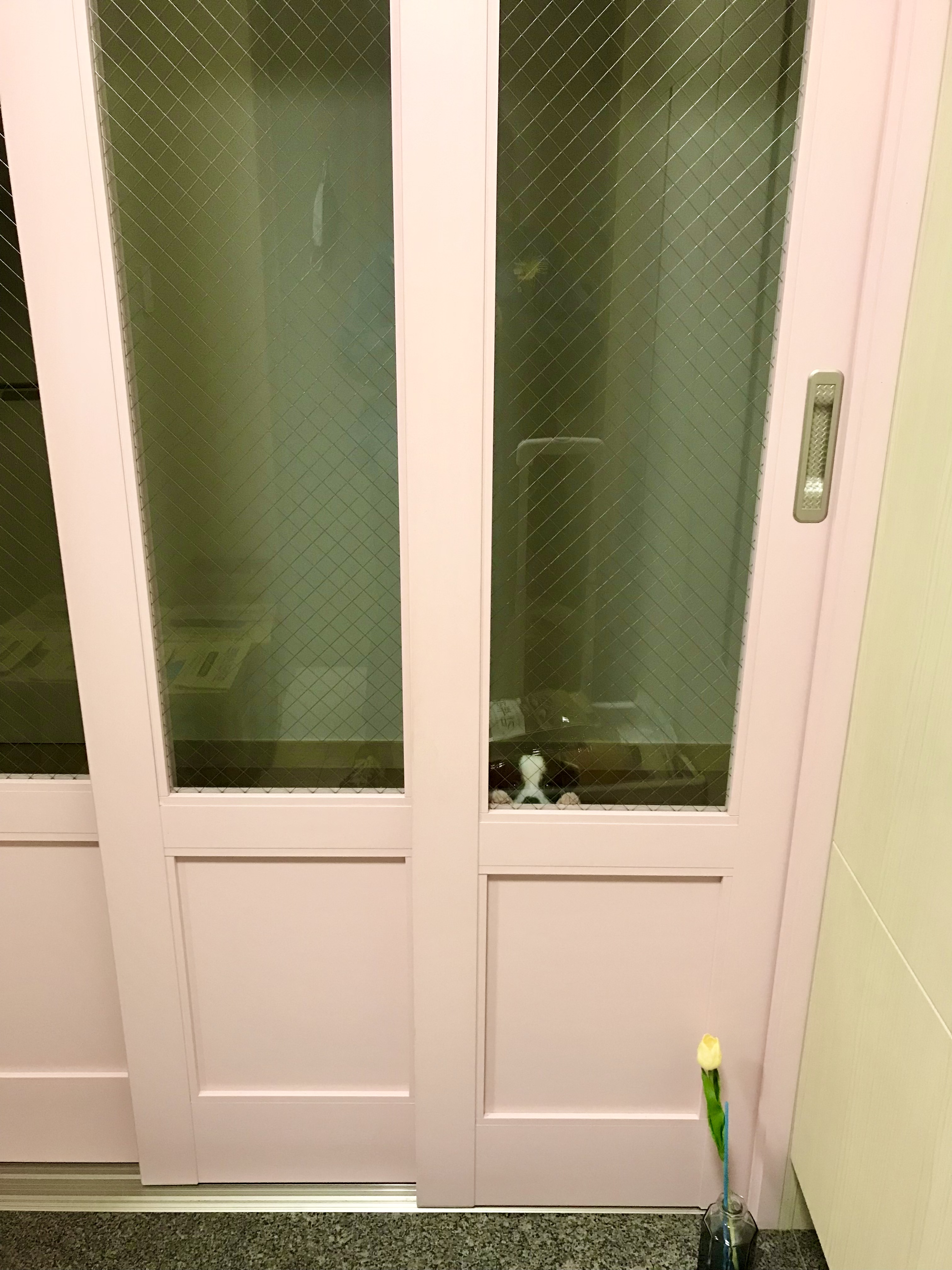 가을이(모뜨) 3개월 후기~