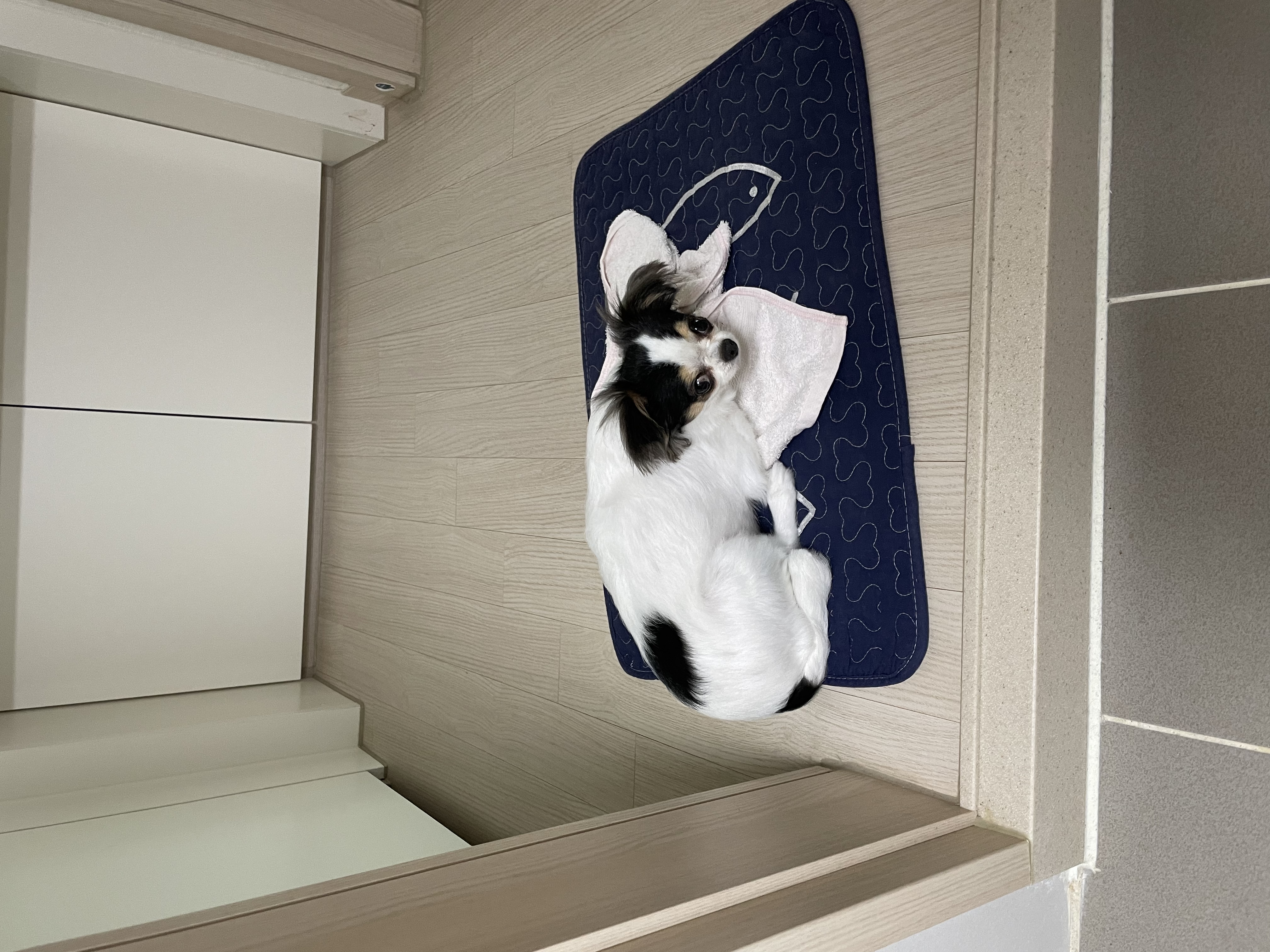 오랜만이네요 ㅎ(구지민이)