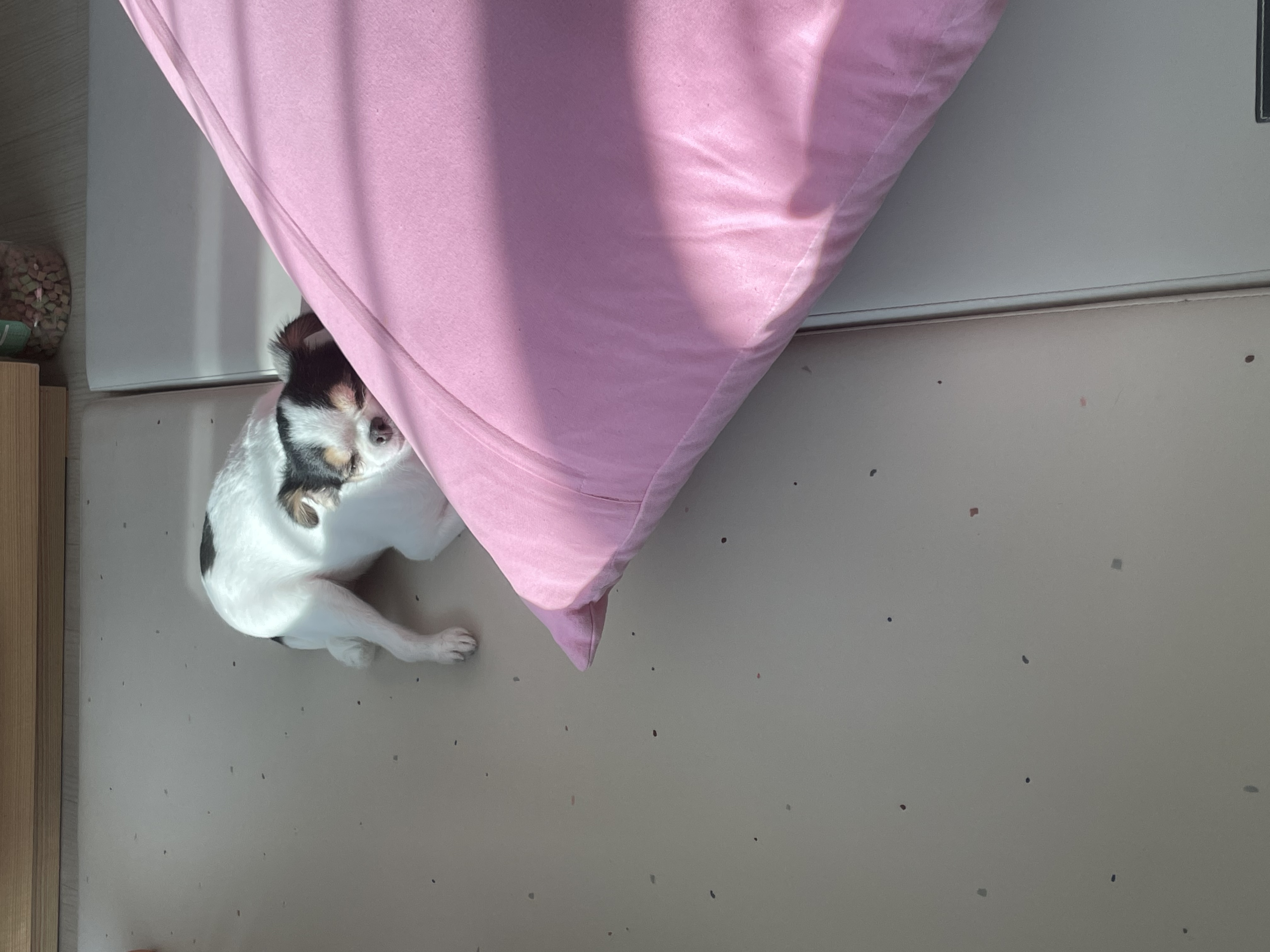 오랜만이네요 ㅎ(구지민이)