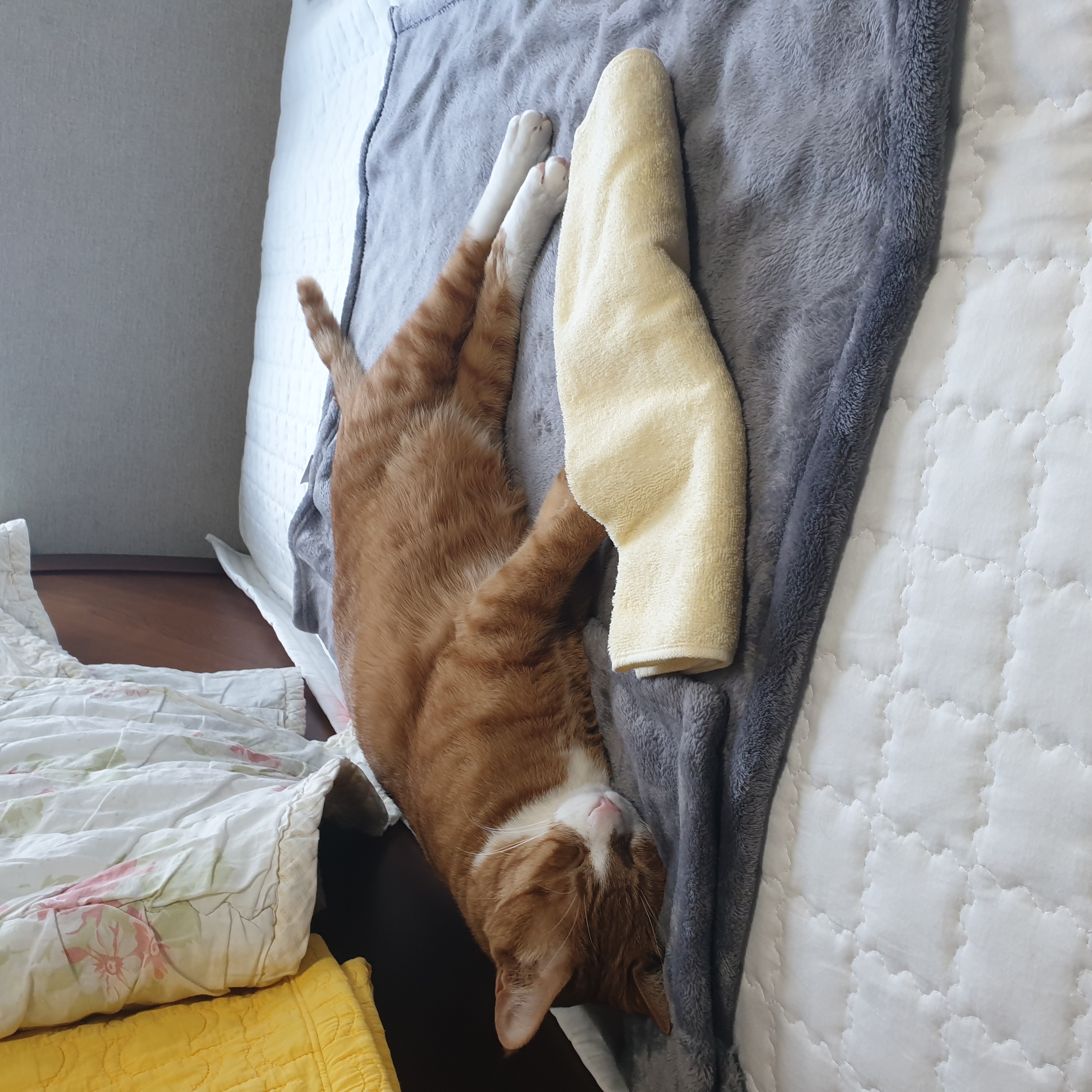 이린이 입양 3년차