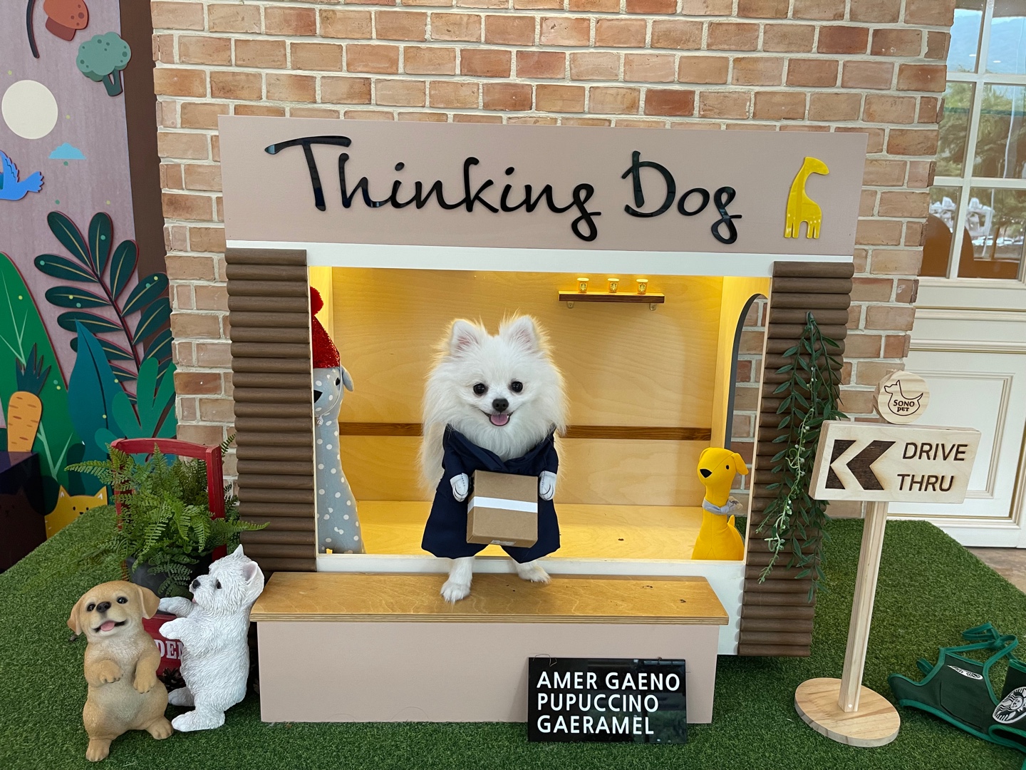 하루가 우리집에 온지 9개월이 되었네요