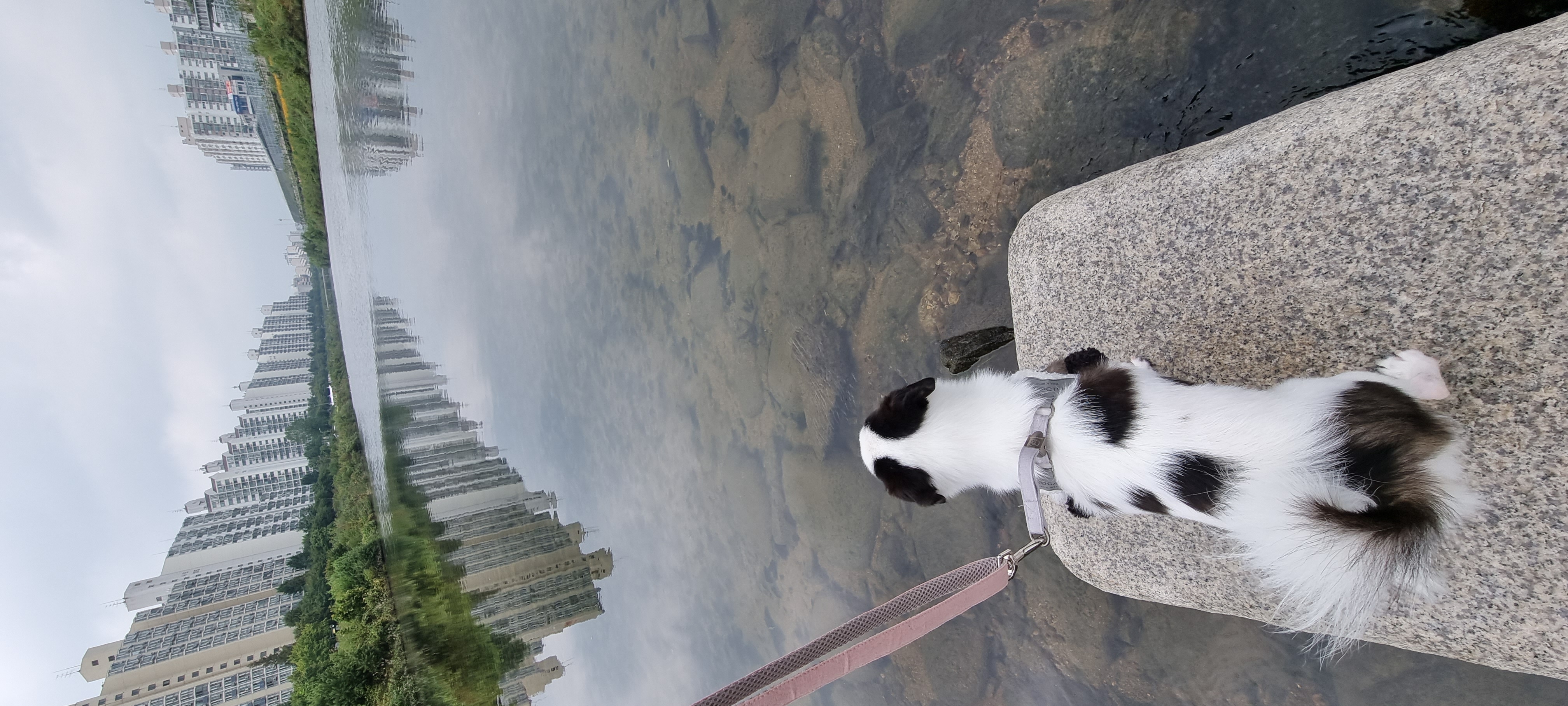 또리 1년후기❤️ (구 조커)