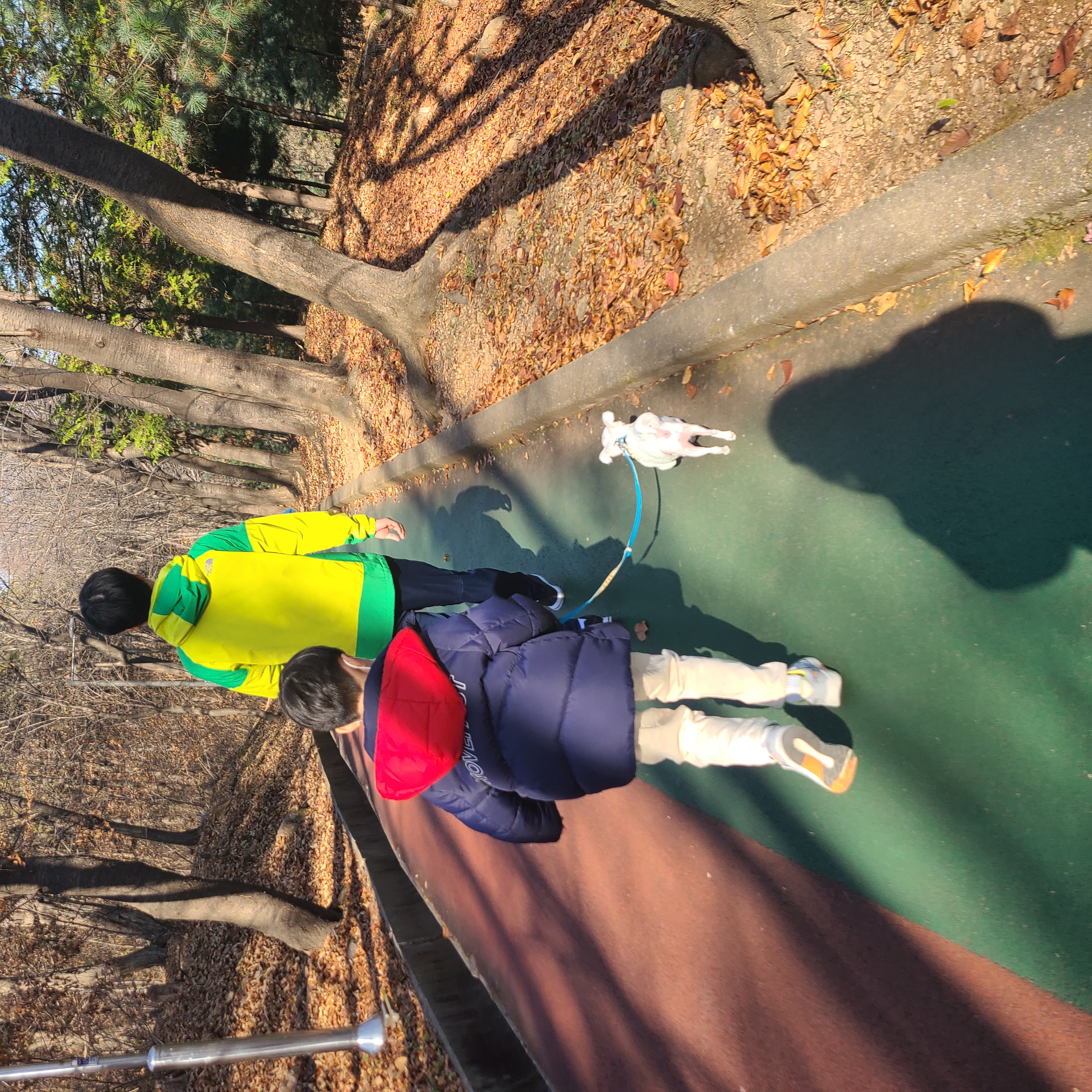 하양이(아담이)