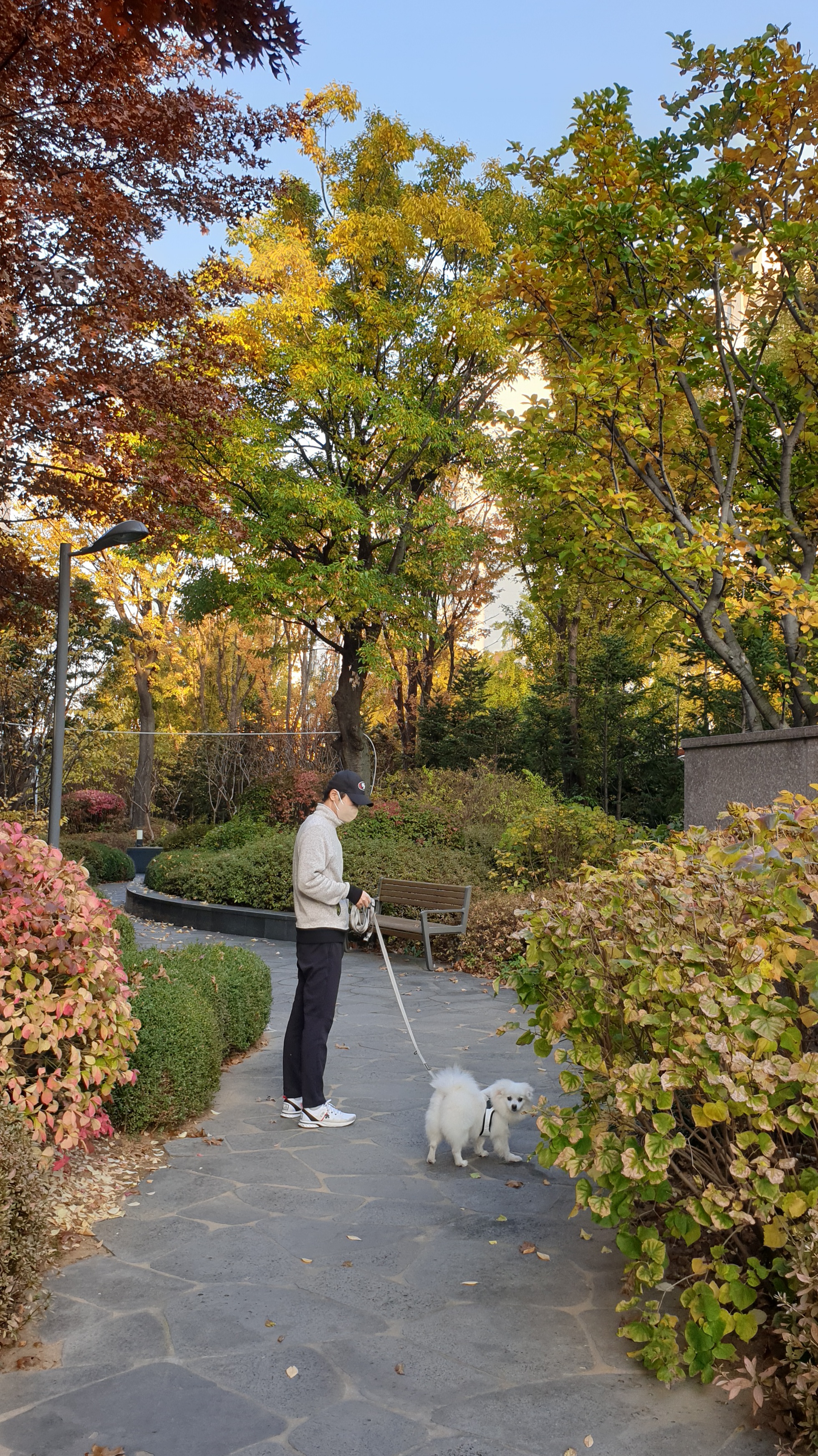 구름(빈츠)이가 온지 4개월이 되었네요