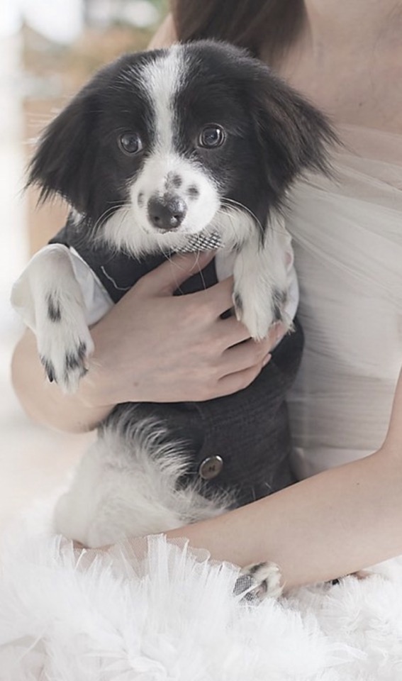 양주에서 온 라이카입니다~!