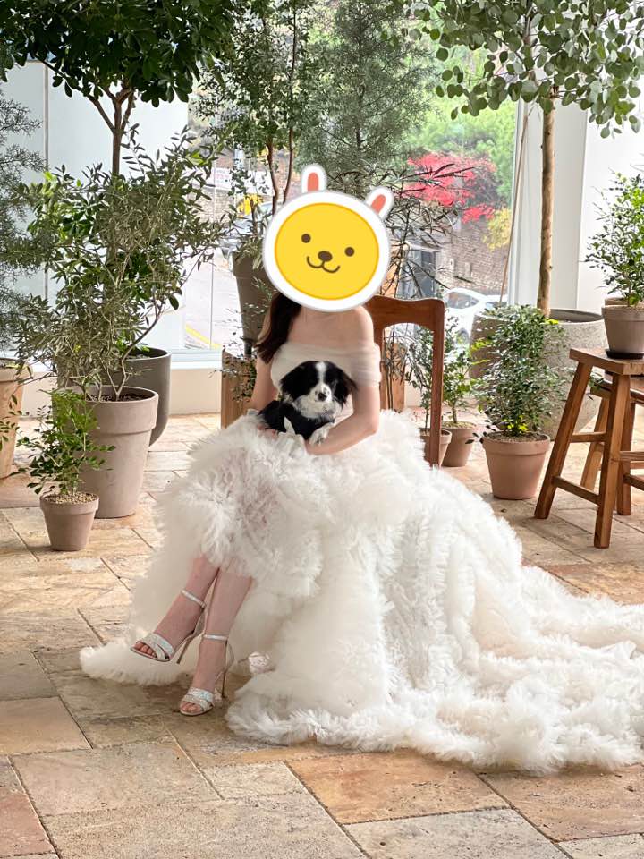 양주에서 온 라이카입니다~!