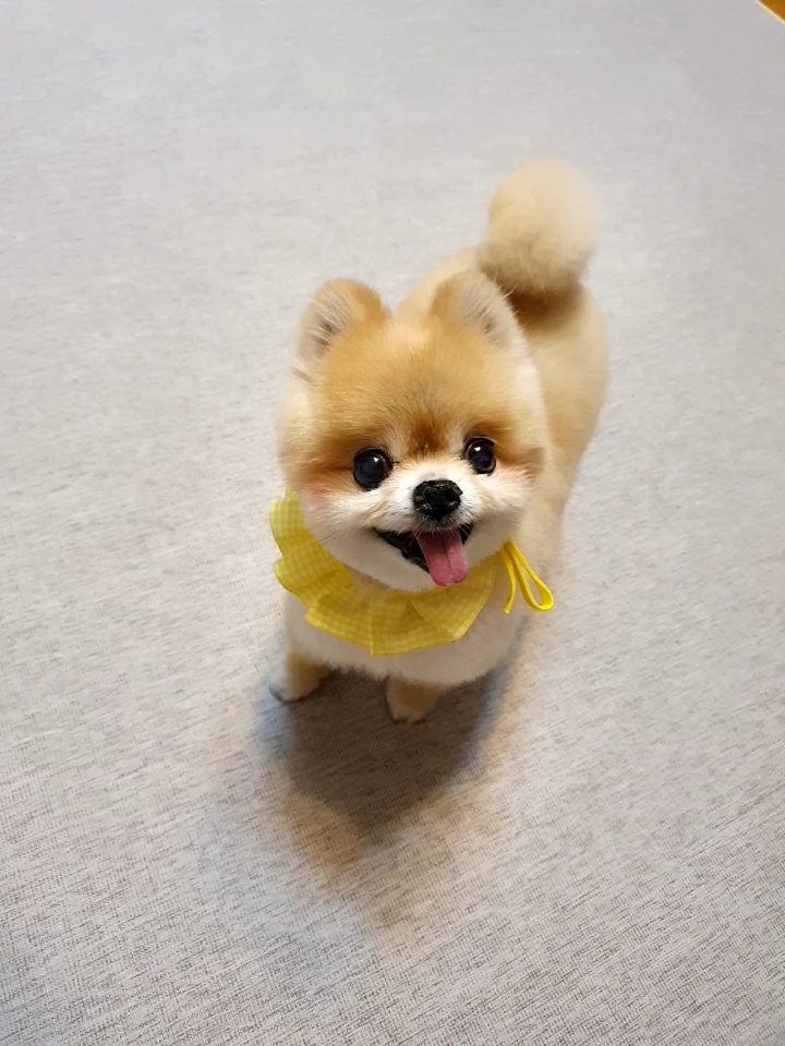 오랫만에 ‘티아’소식 올려요~^^