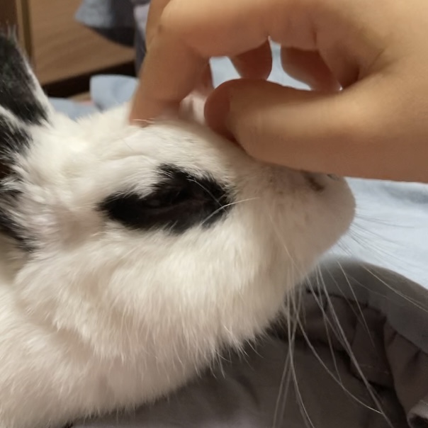 '행운'이 있는 '행복'한 삶