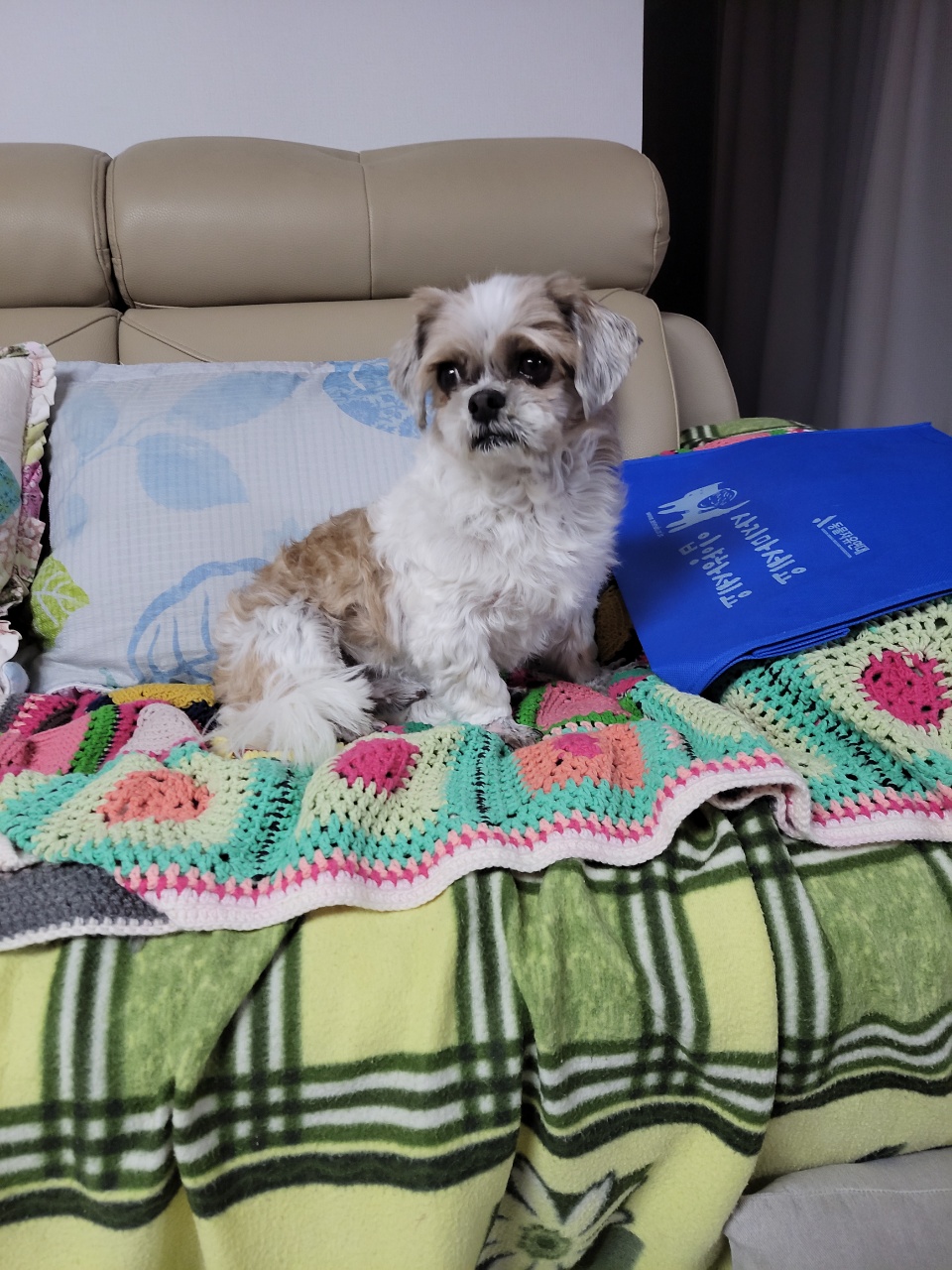 오리 입양 첫날^^