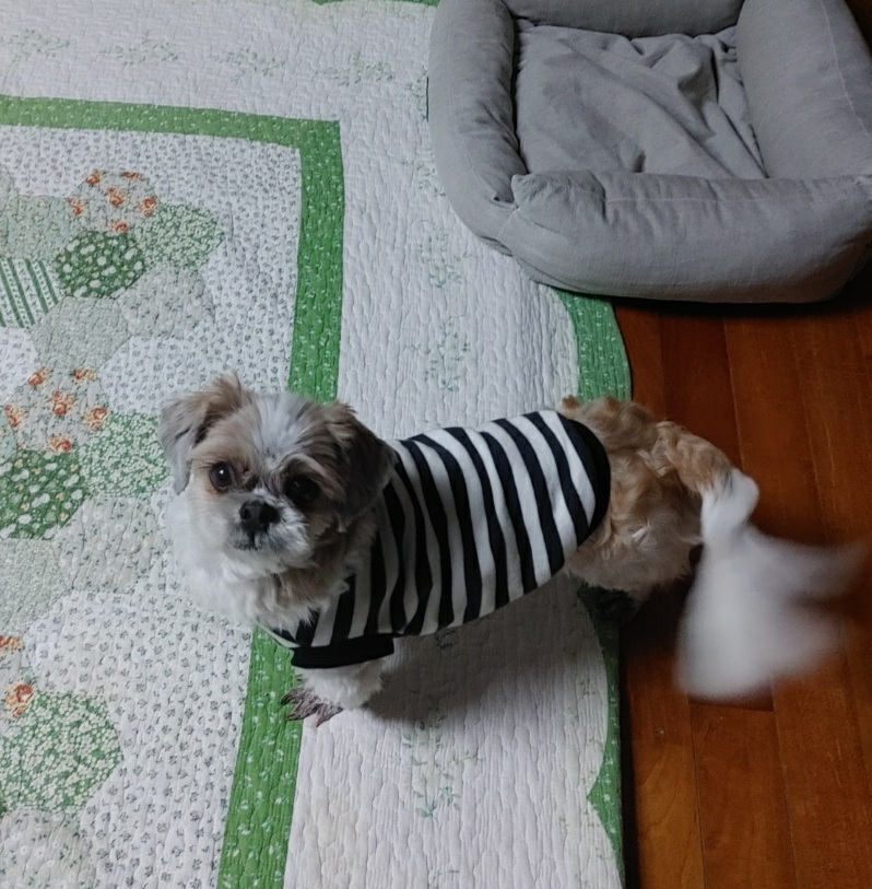 오리 입양 첫날^^