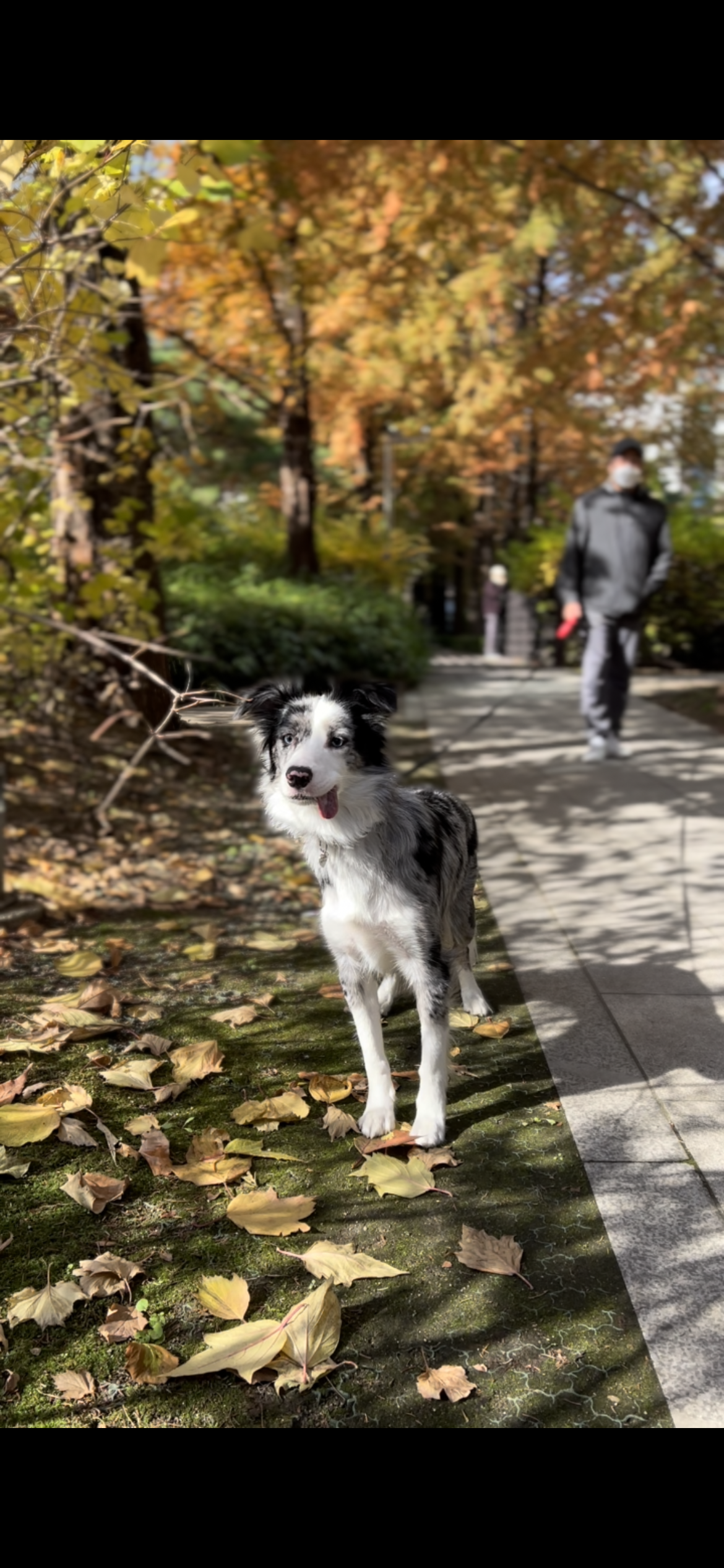 샤인이 잘 지내고 있습니다^^