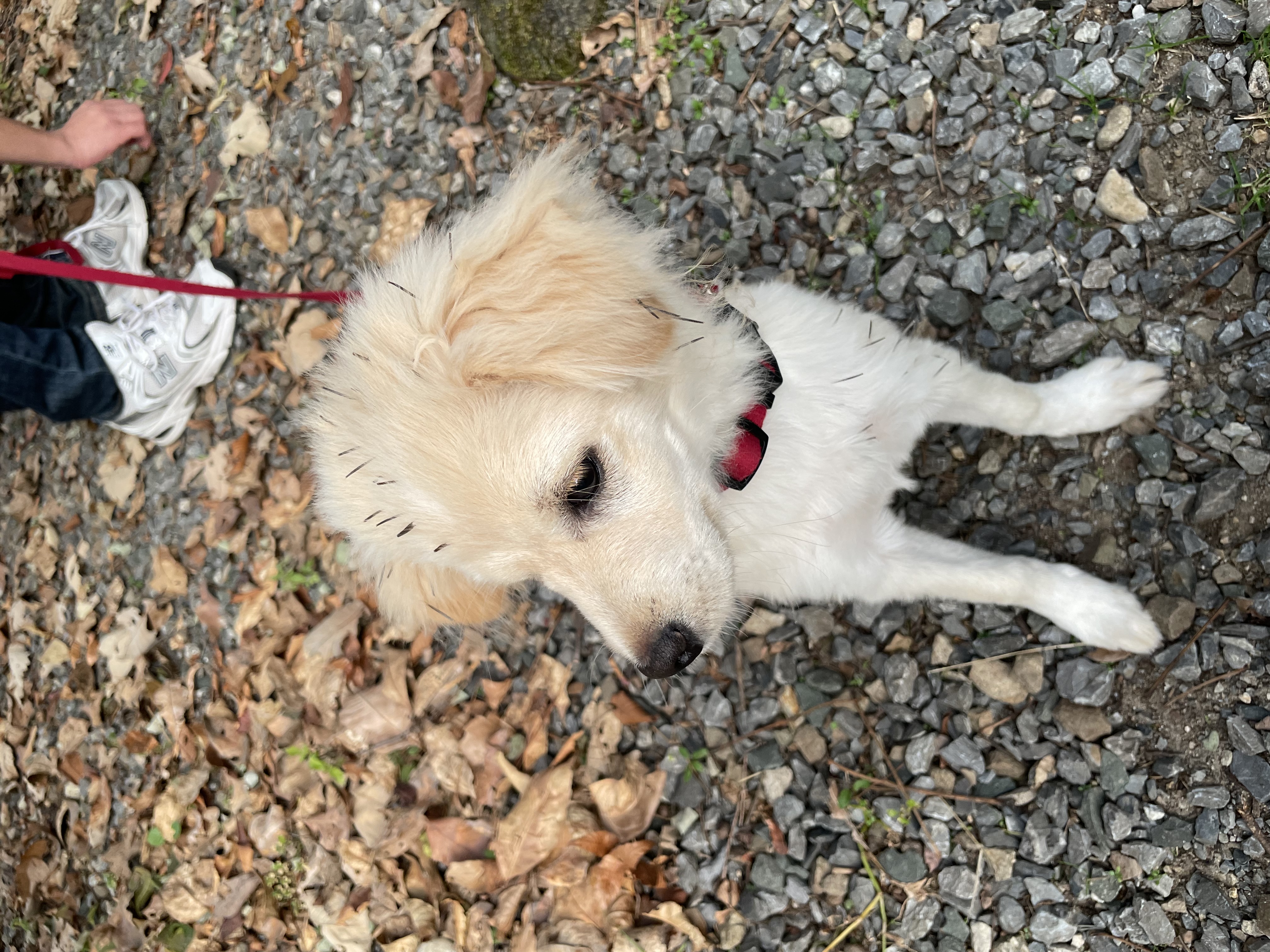 하트니(무사) 두번째 이야기