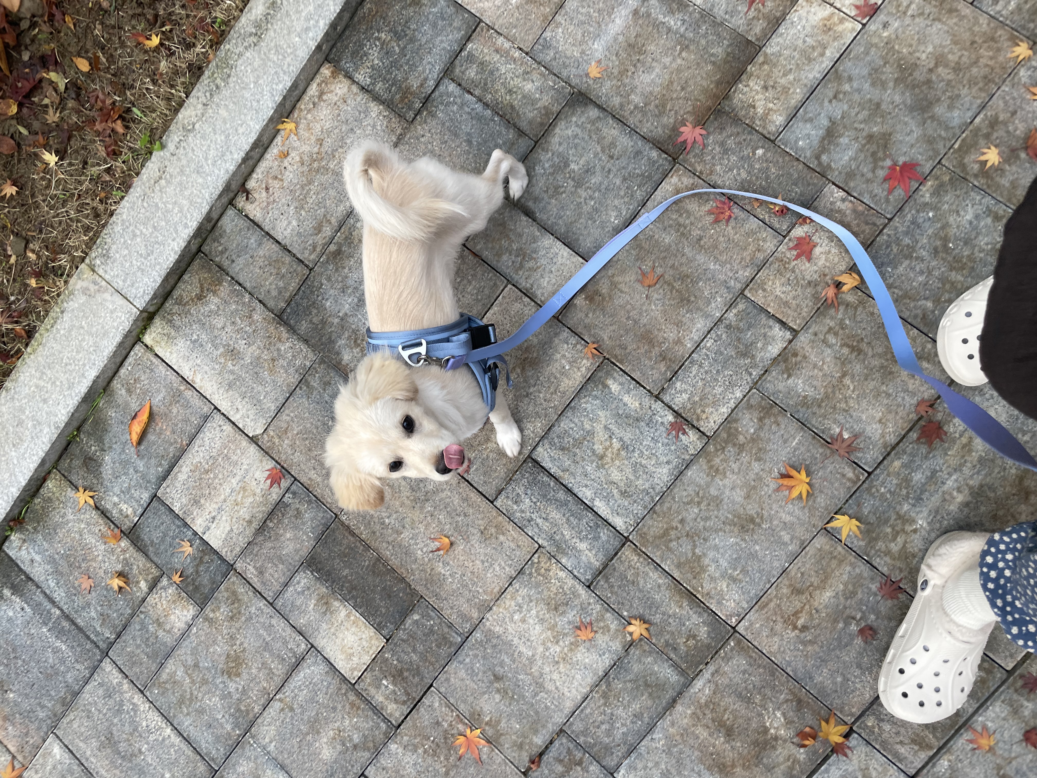 하트니(무사) 두번째 이야기