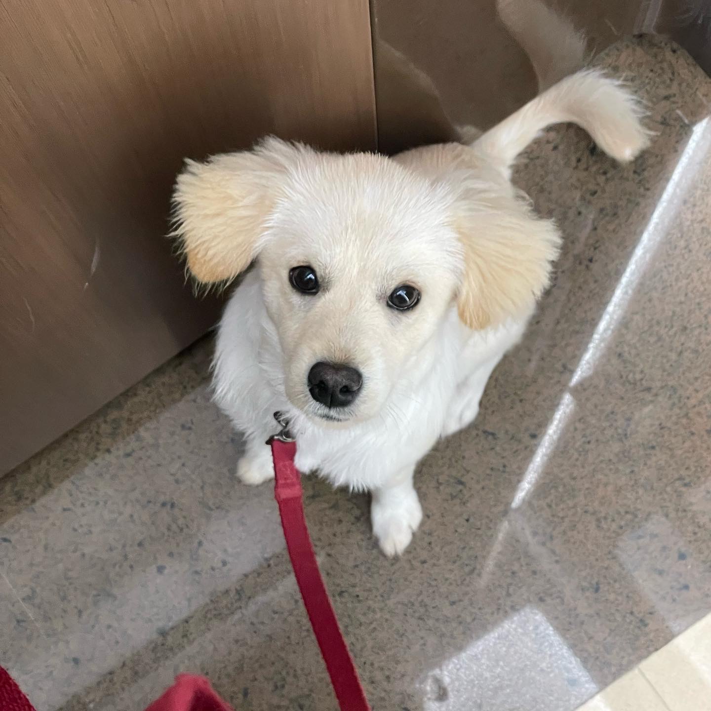 하트니(무사) 두번째 이야기