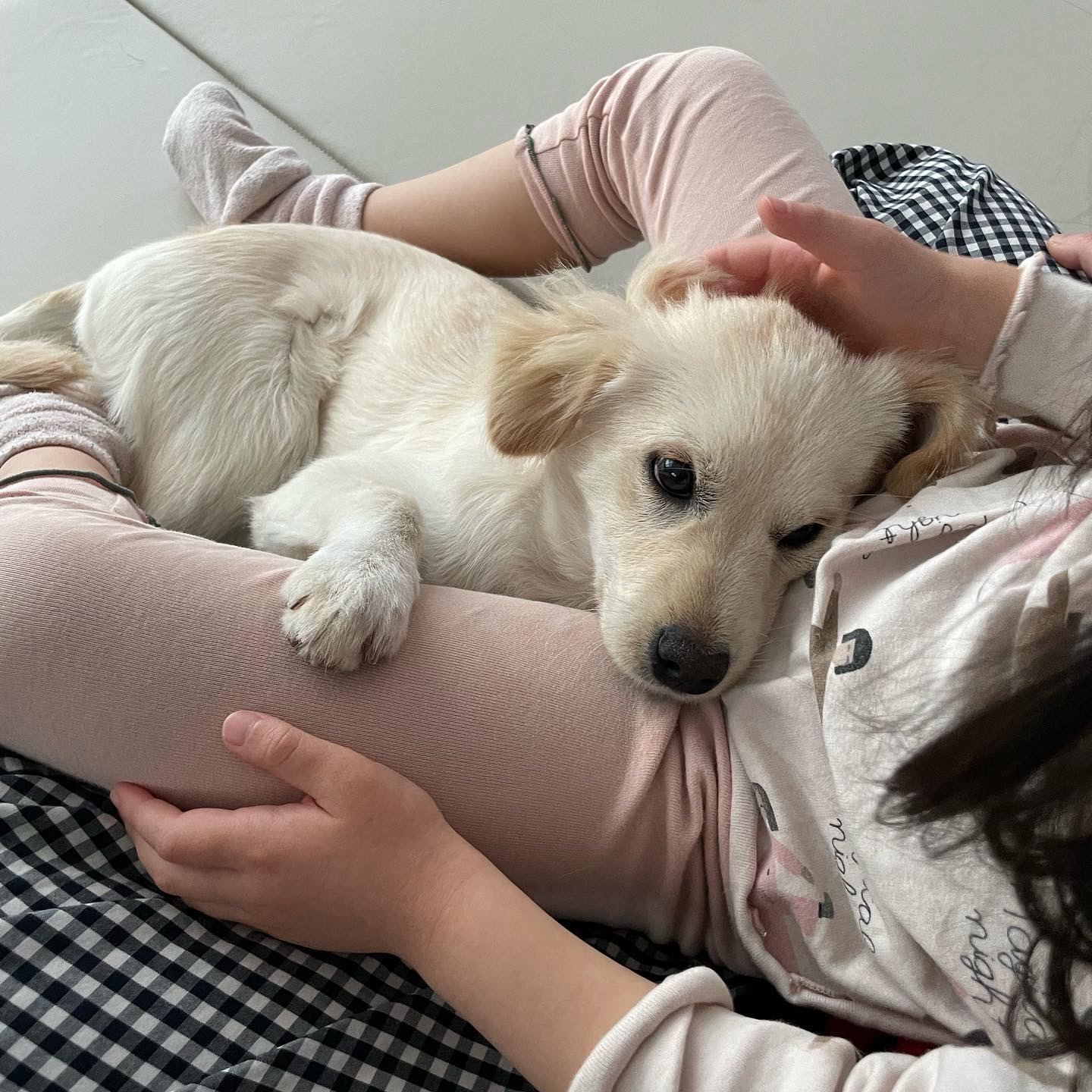 하트니(무사) 두번째 이야기