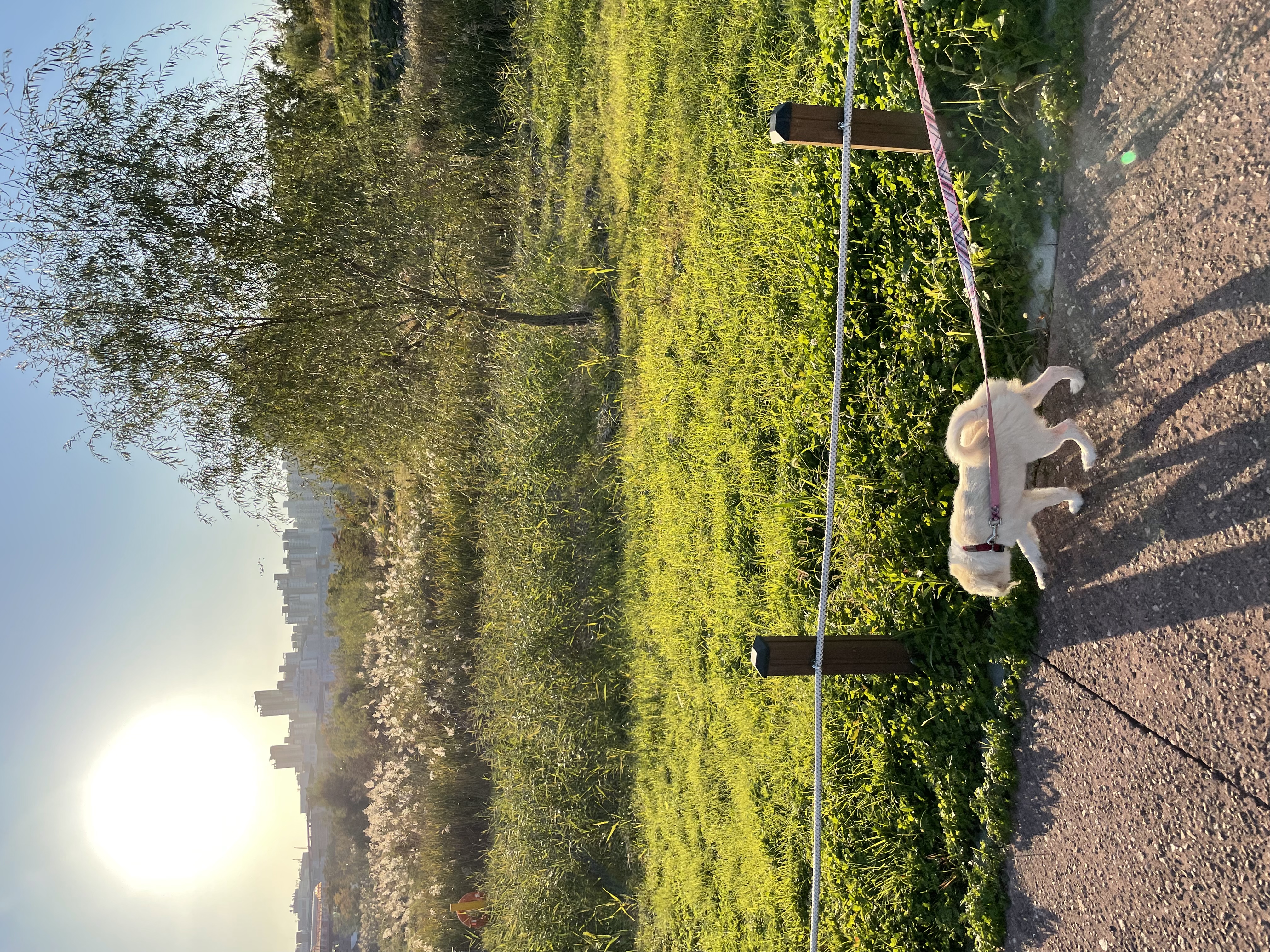 하트니(무사) 두번째 이야기