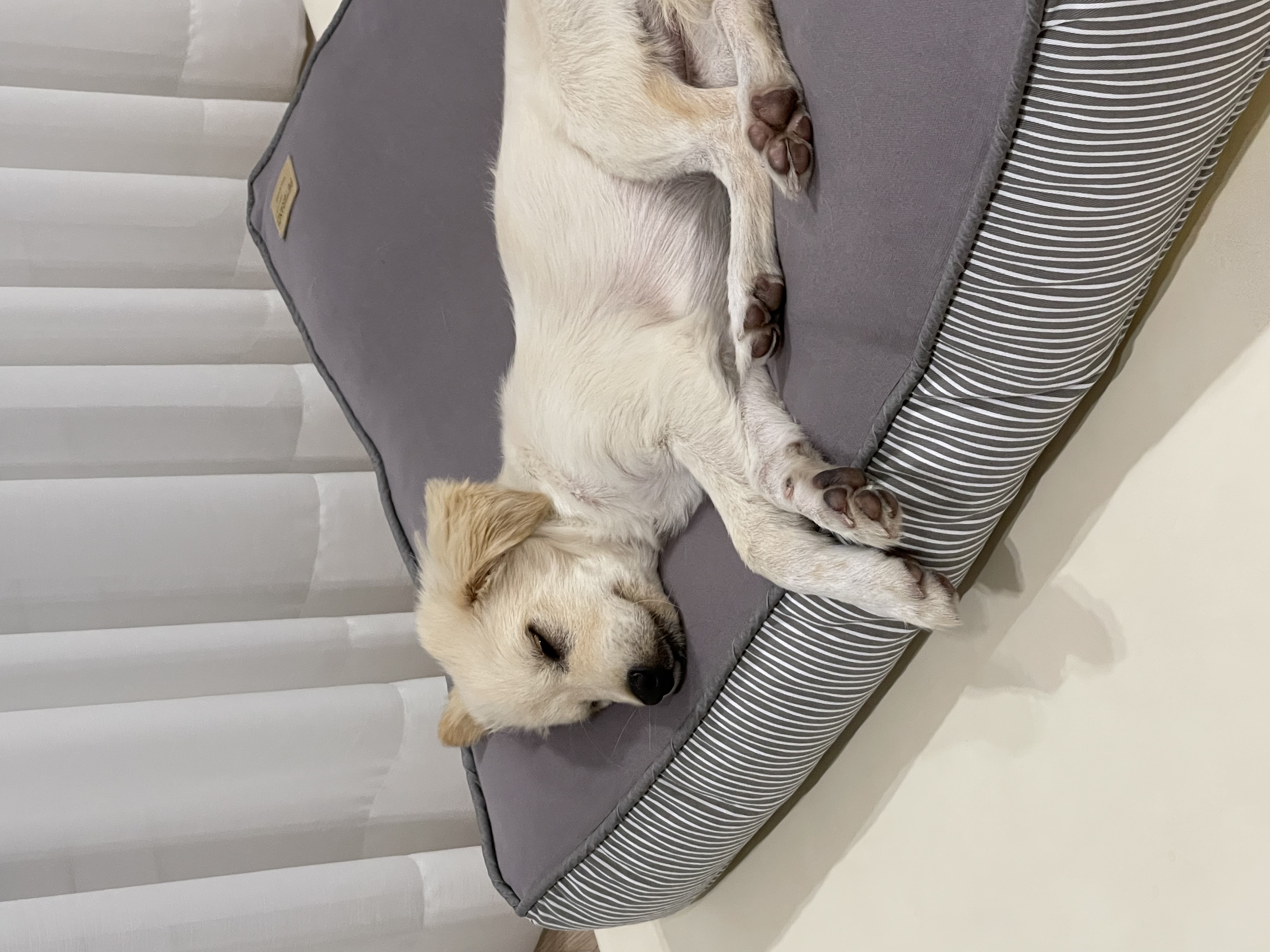 하트니(무사) 두번째 이야기