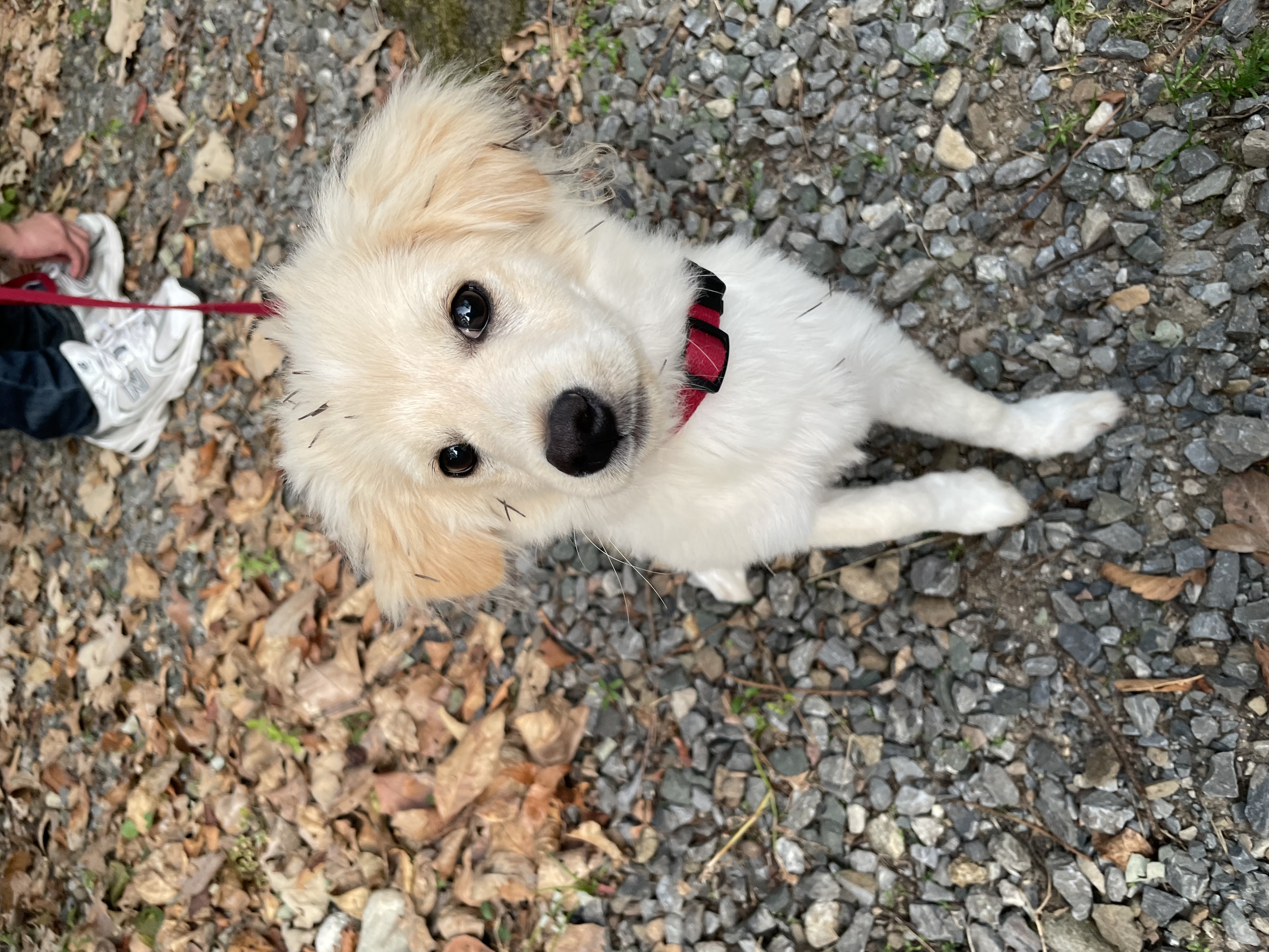 하트니(무사) 두번째 이야기