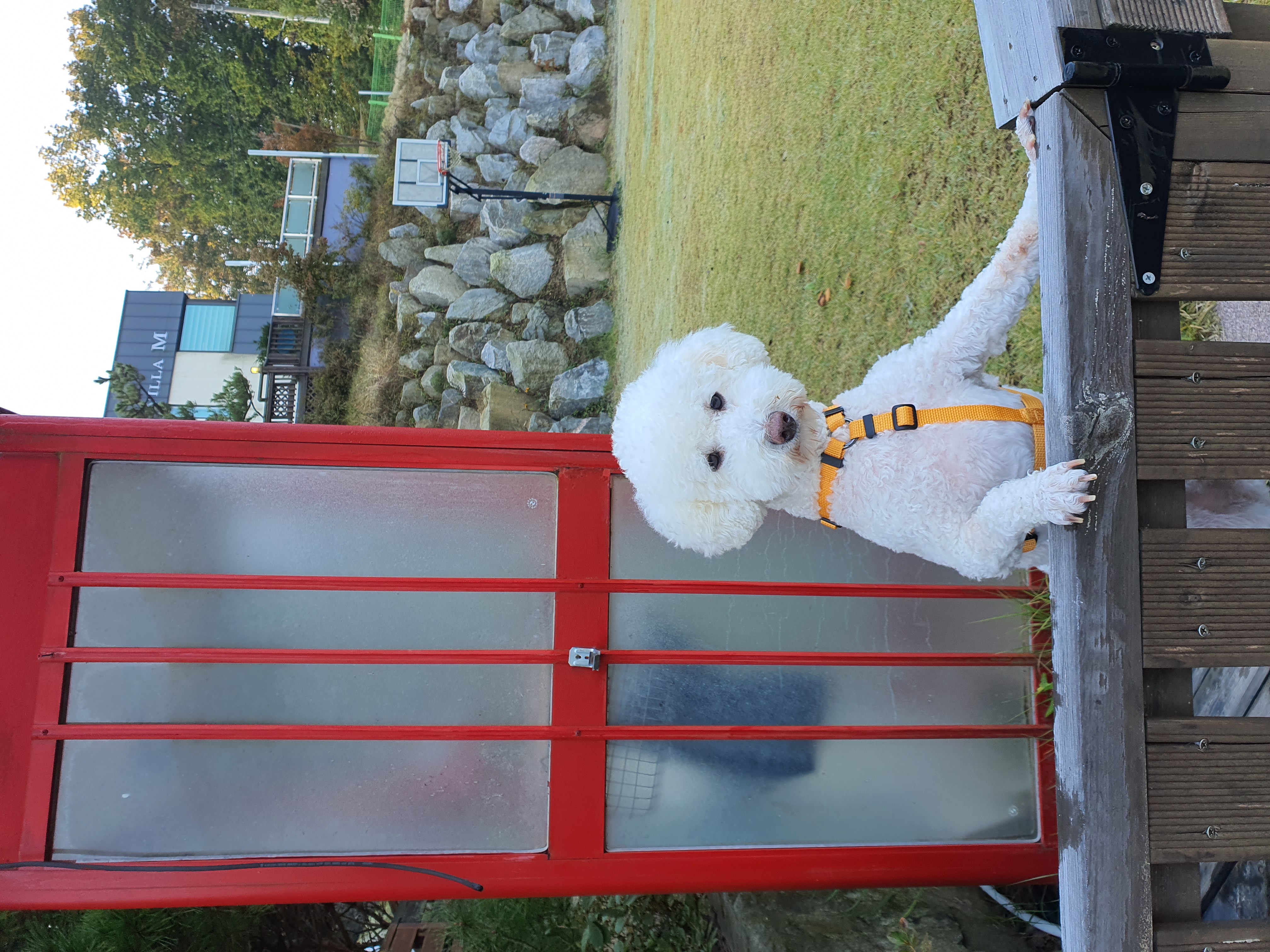 최고다(레일이) 201일 된 날❤