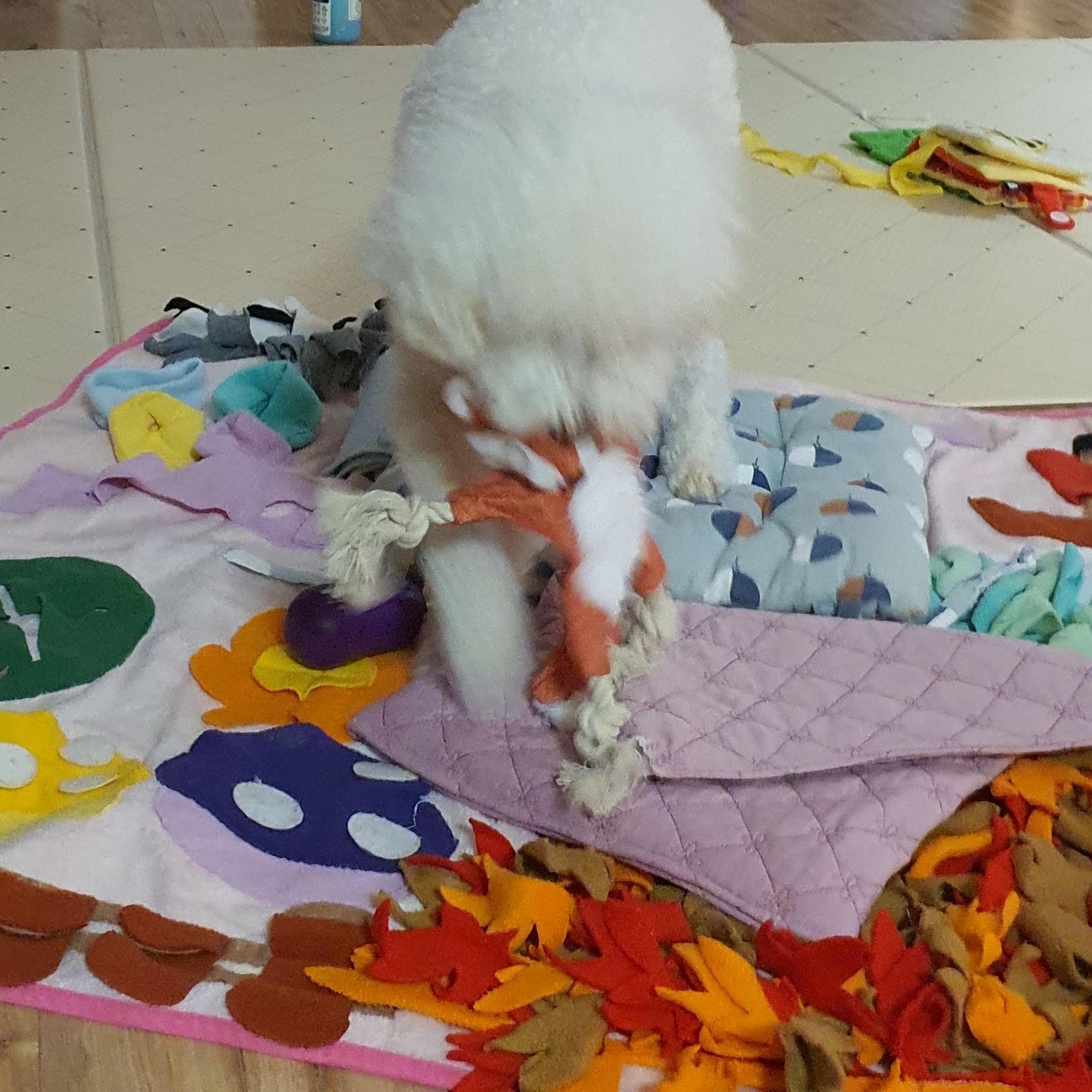 최고다(레일이) 201일 된 날❤