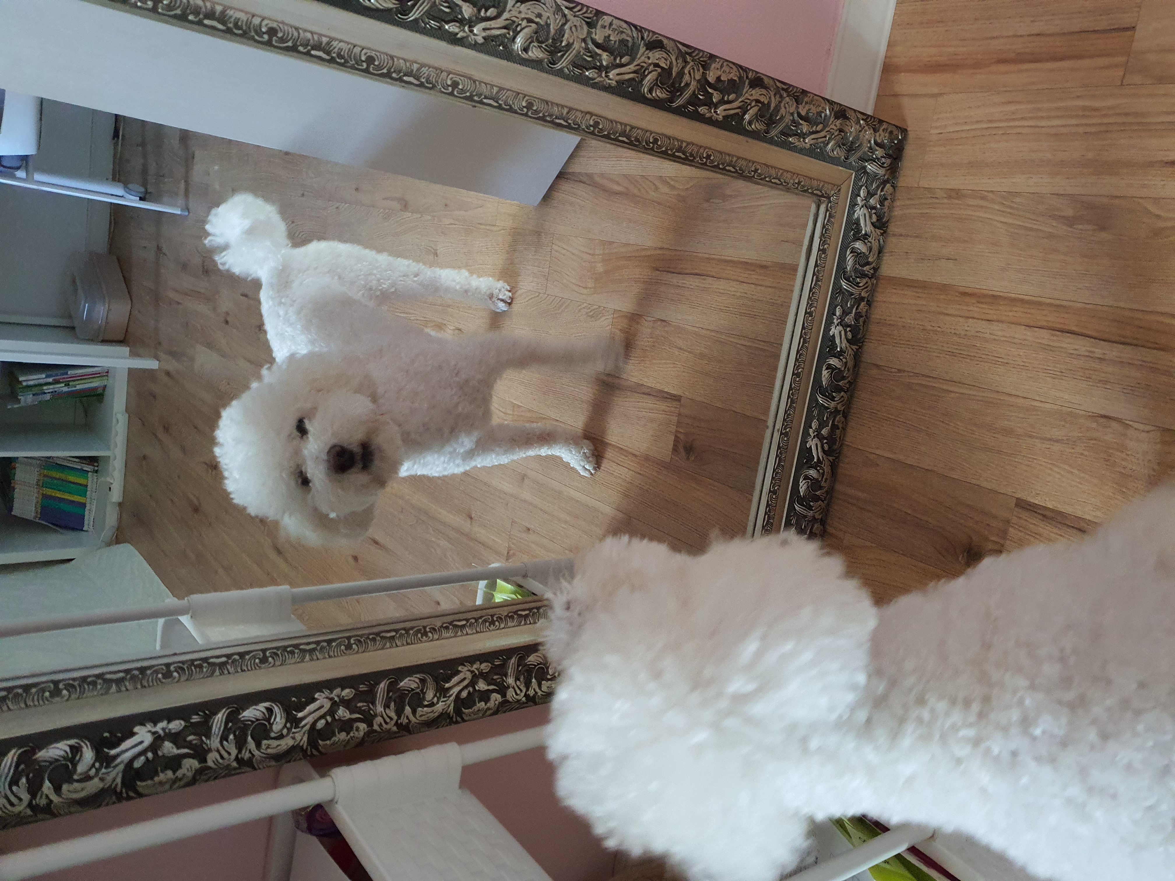 최고다(레일이) 201일 된 날❤