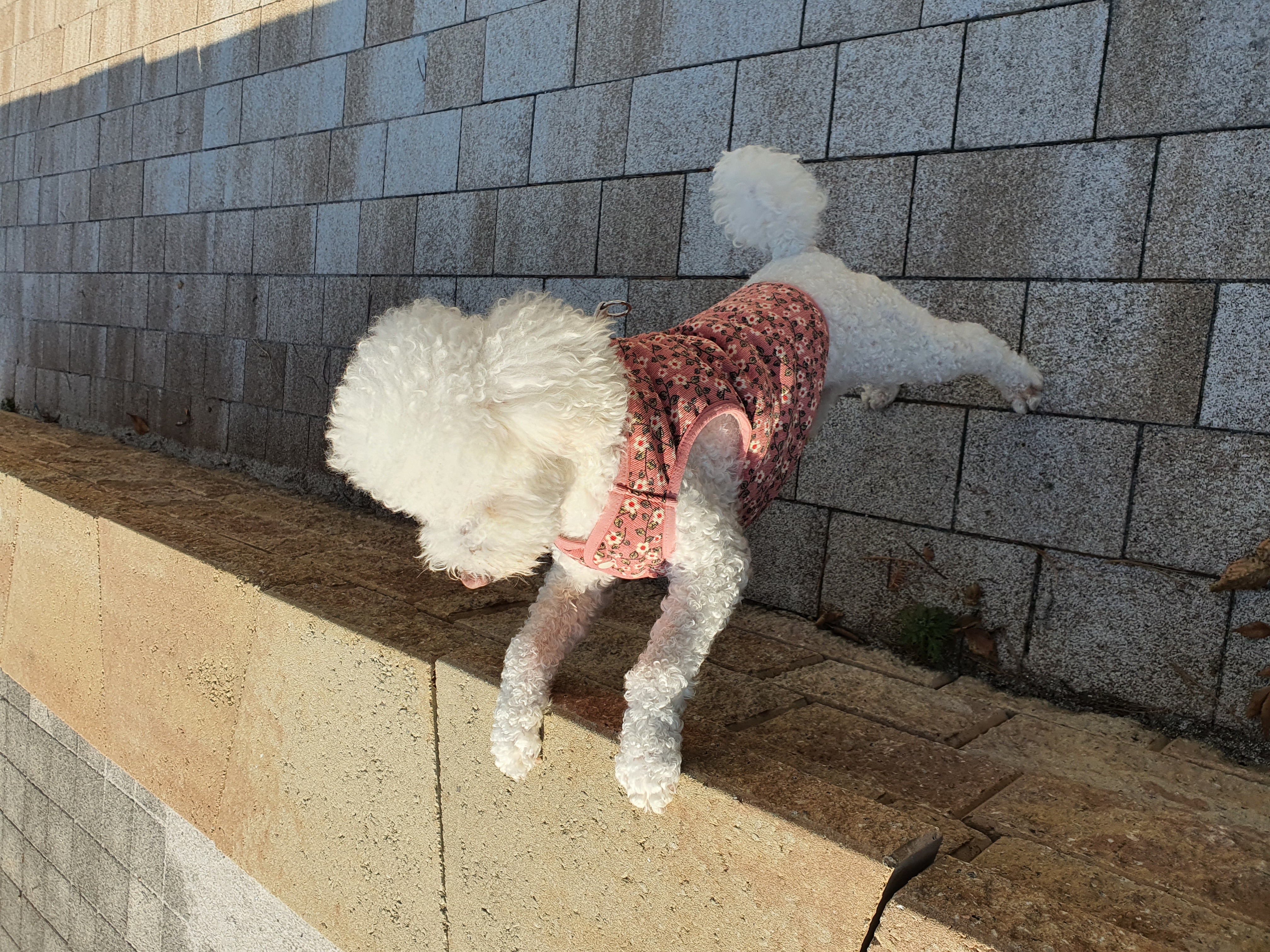 최고다(레일이) 201일 된 날❤