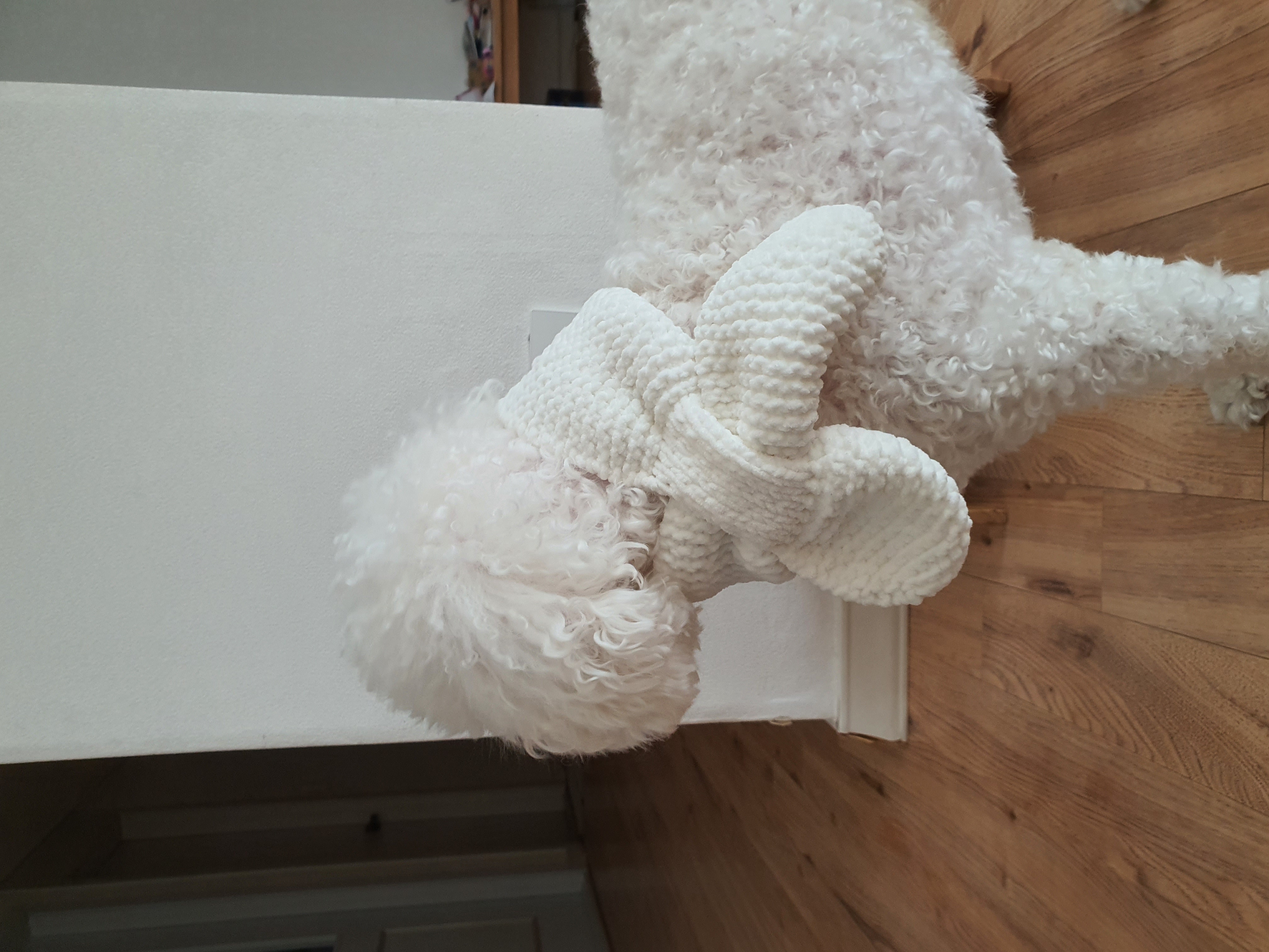 최고다(레일이) 201일 된 날❤