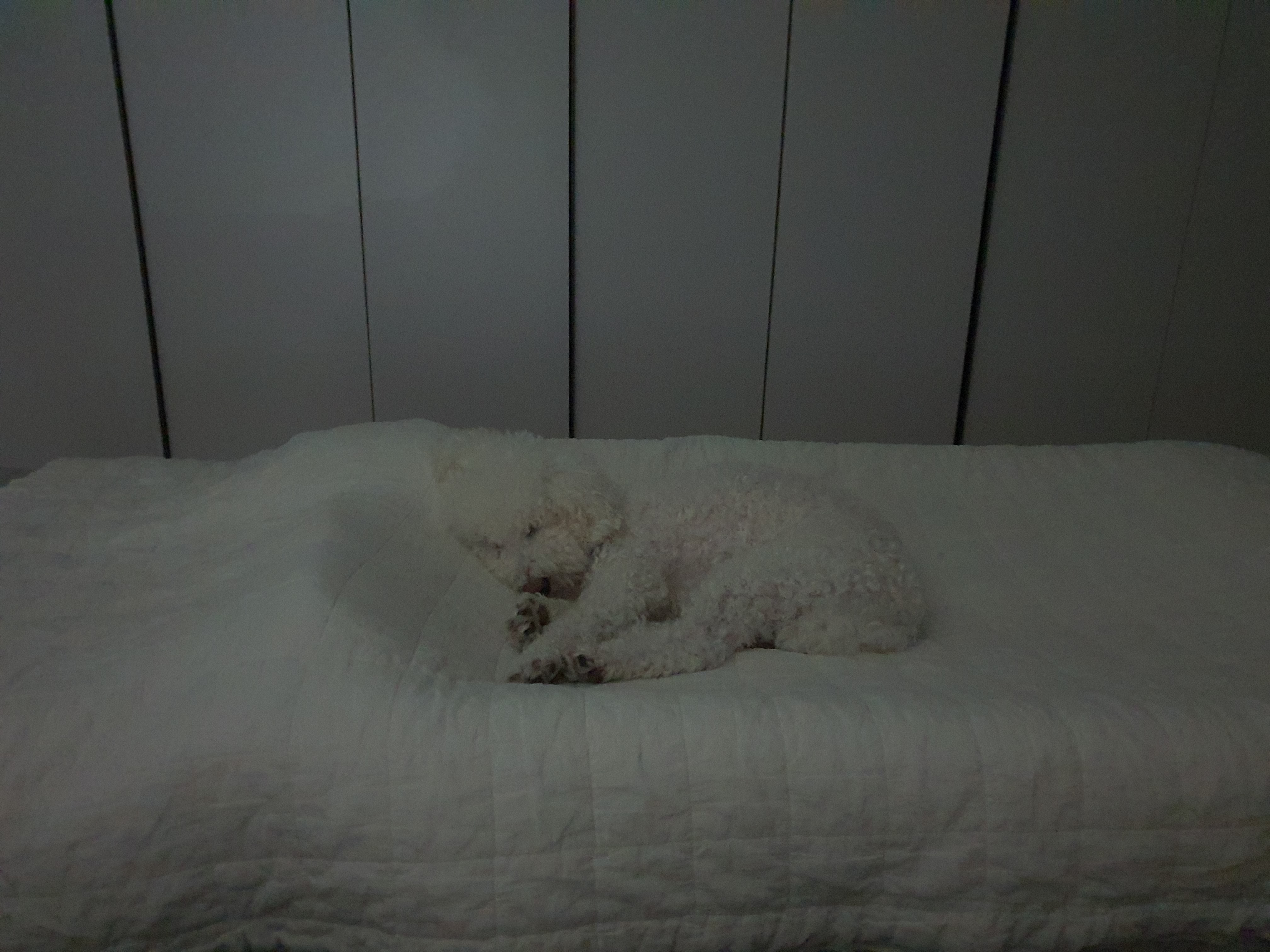 최고다(레일이) 201일 된 날❤