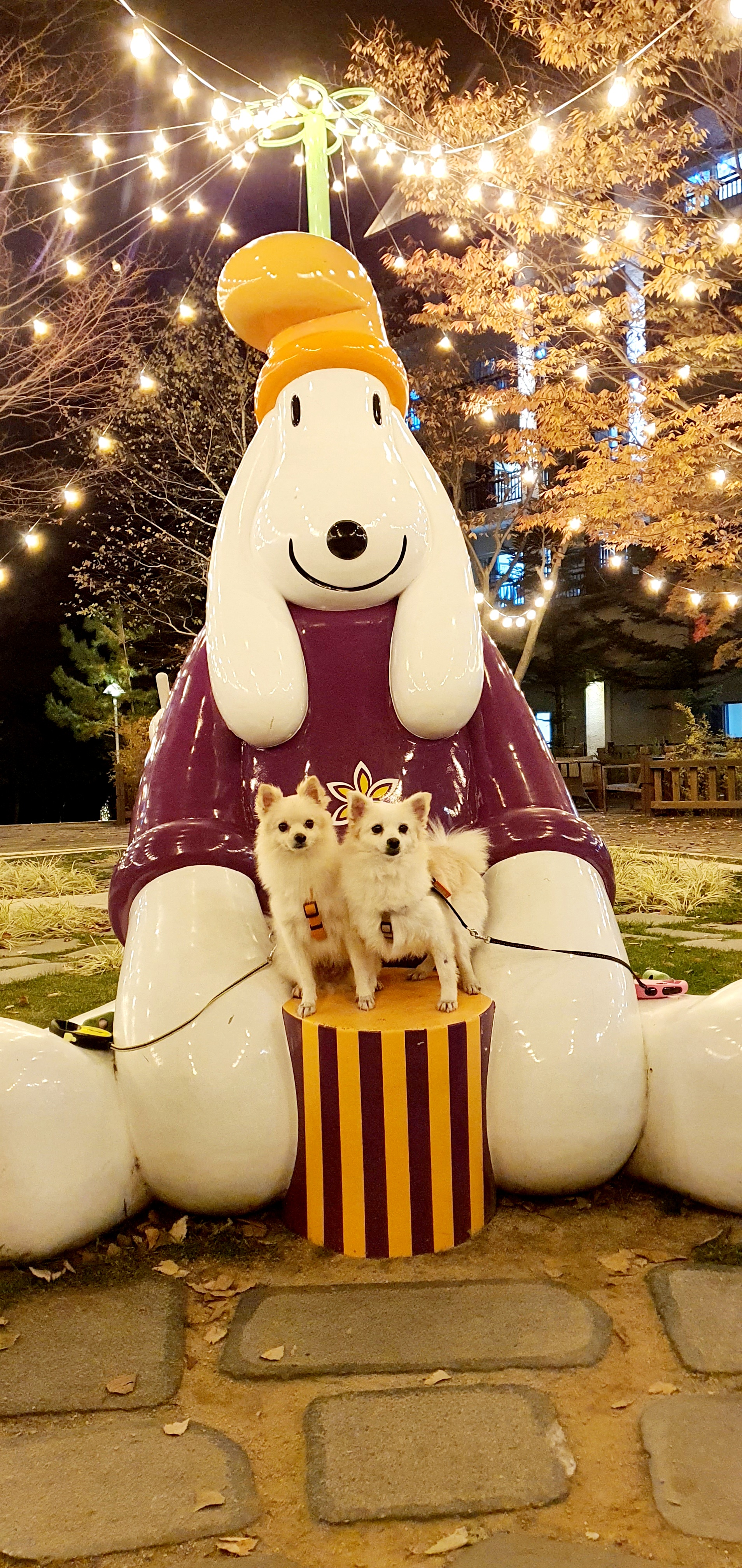 곤지암 몽쉘이(땅콩)이 늦은 소식 전하러왔어요~!