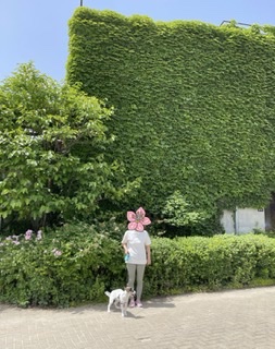 마네 입양 일년이 됬어요