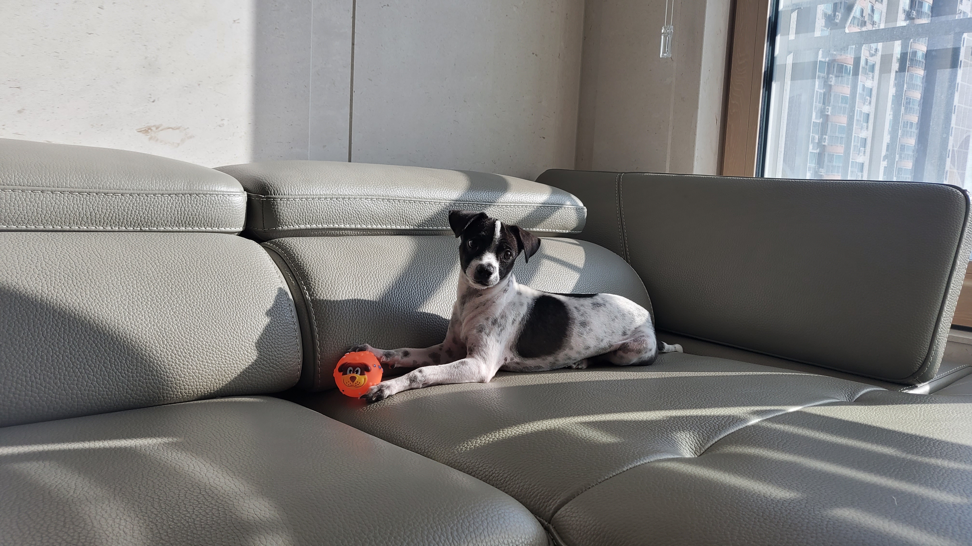 마루야(지못미)모투 첫이발