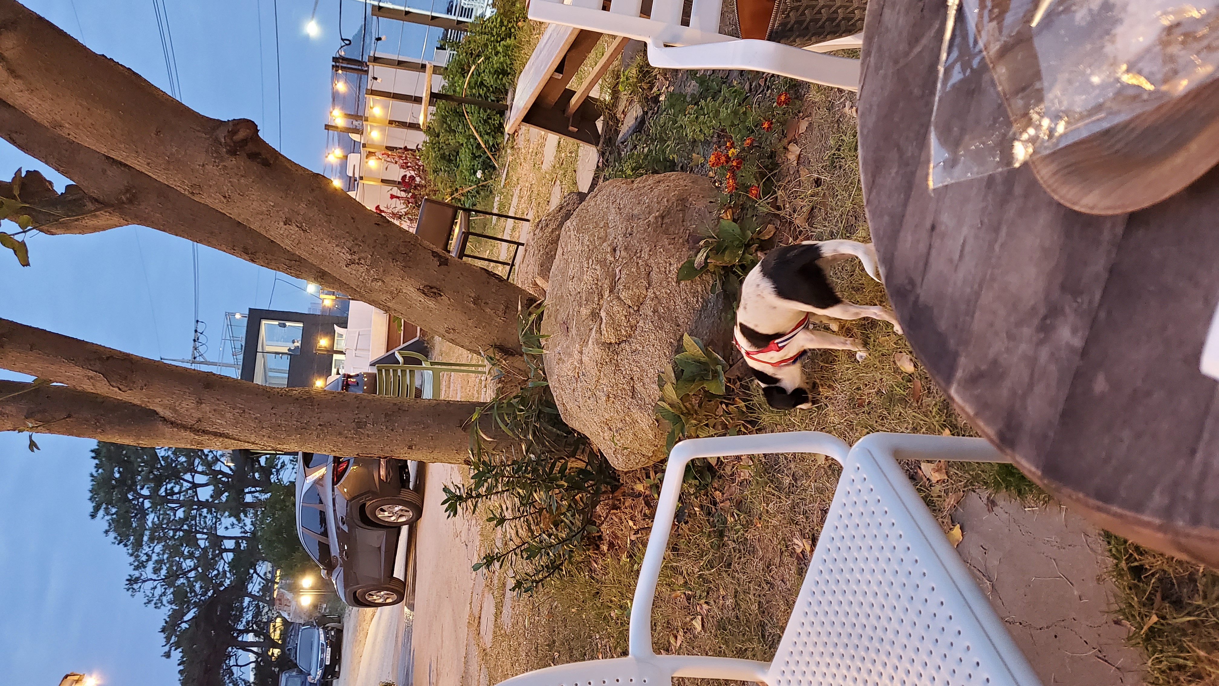 마루야(지못미)모투 첫이발