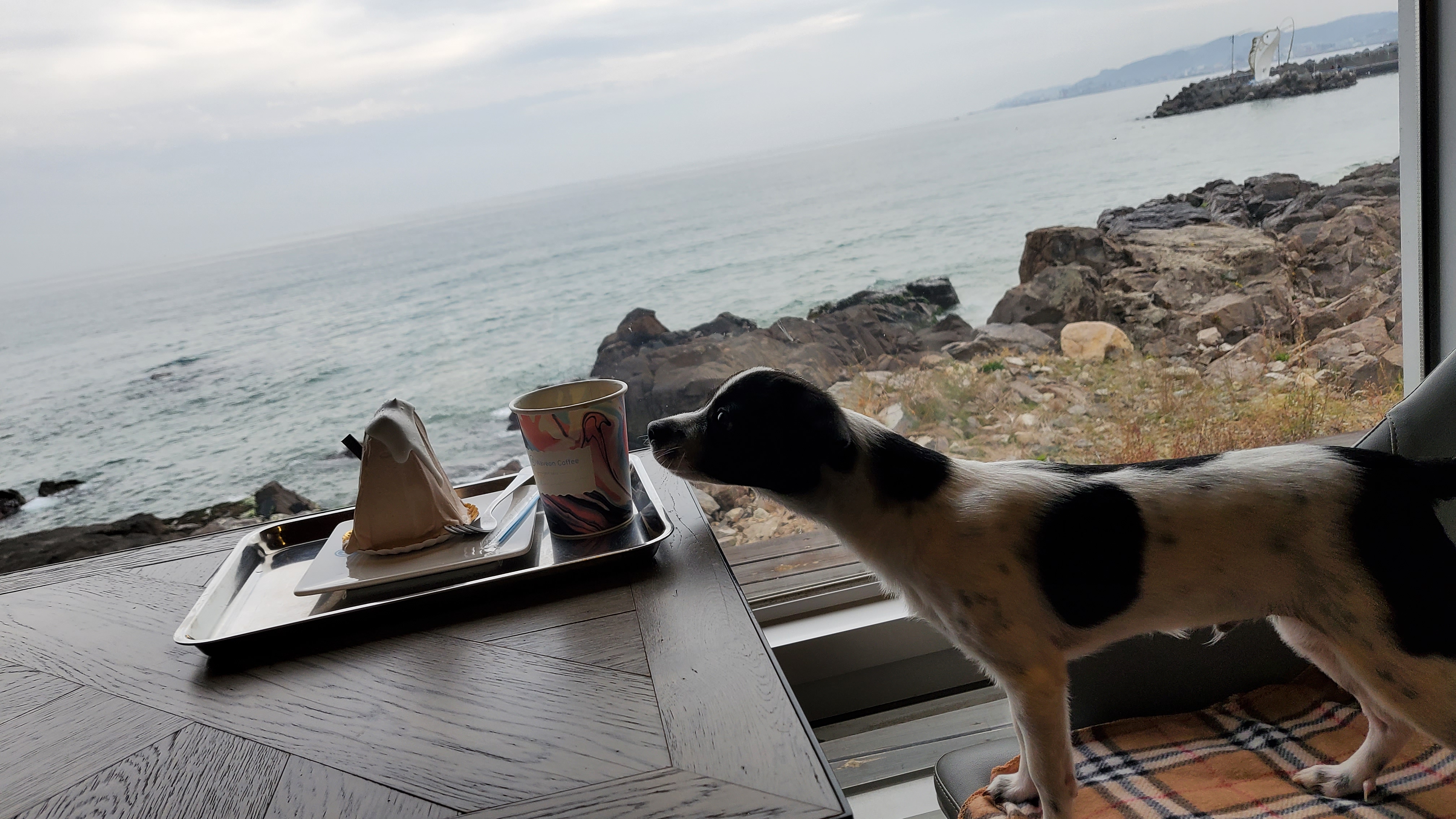 마루야(지못미)모투 첫이발