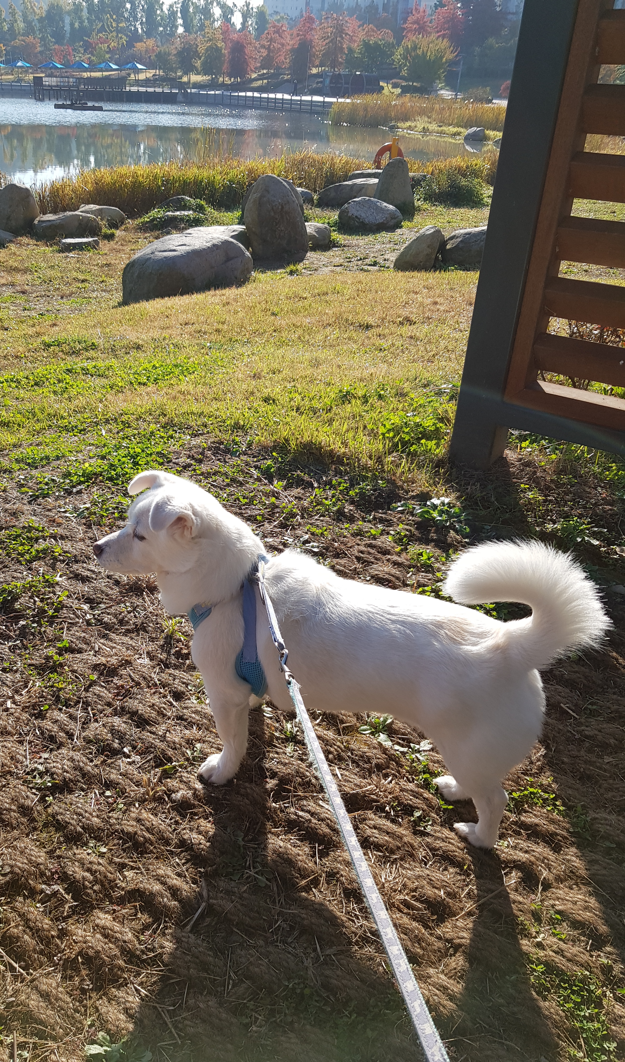 흰자 엘리스 잘 지내고 있어요~