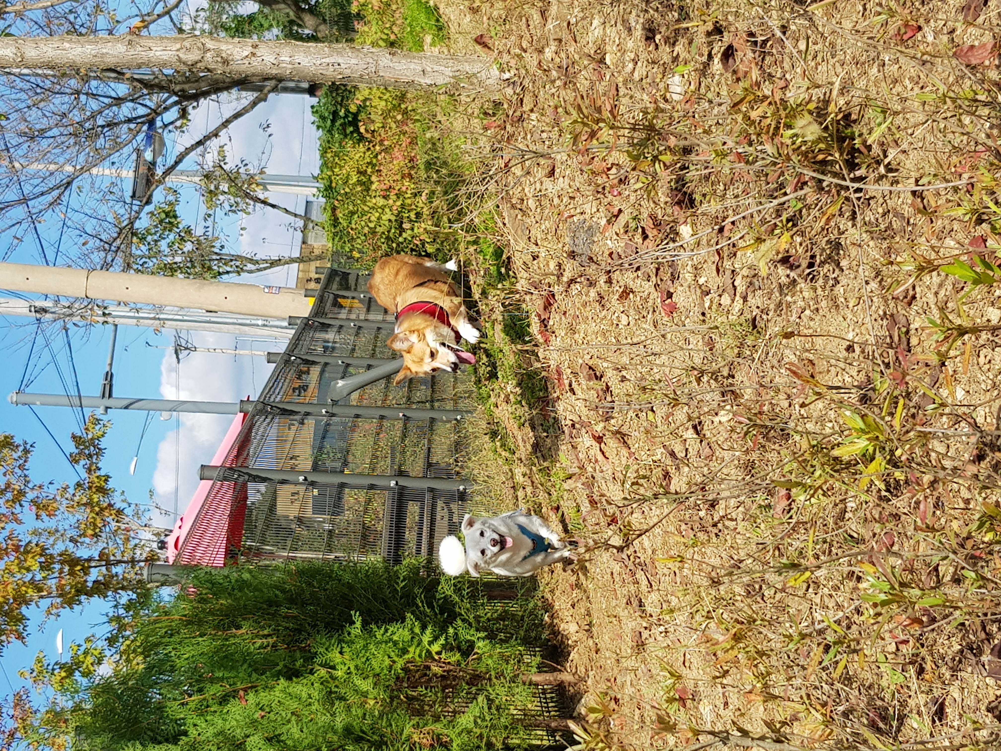 흰자 엘리스 잘 지내고 있어요~