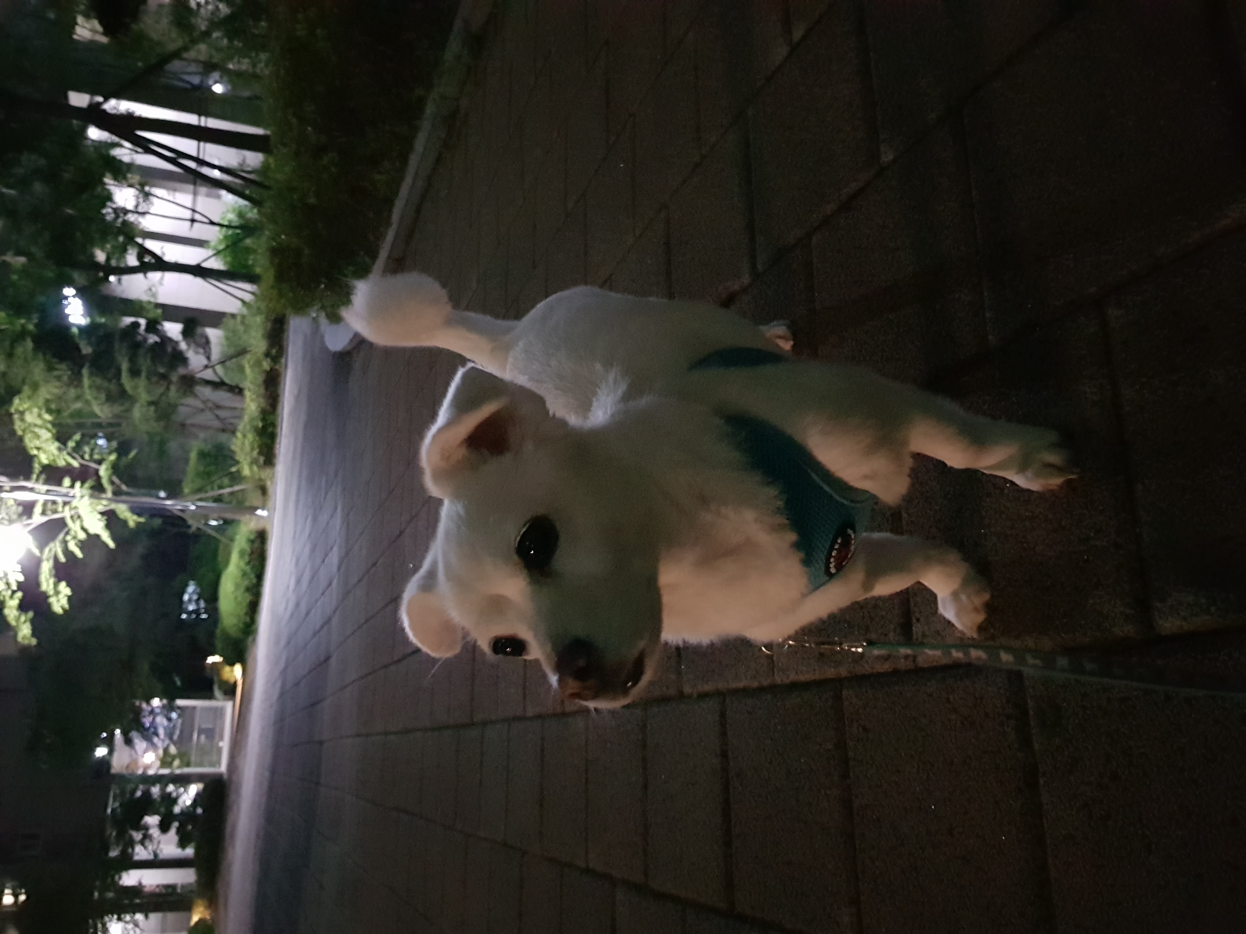 흰자 엘리스 잘 지내고 있어요~