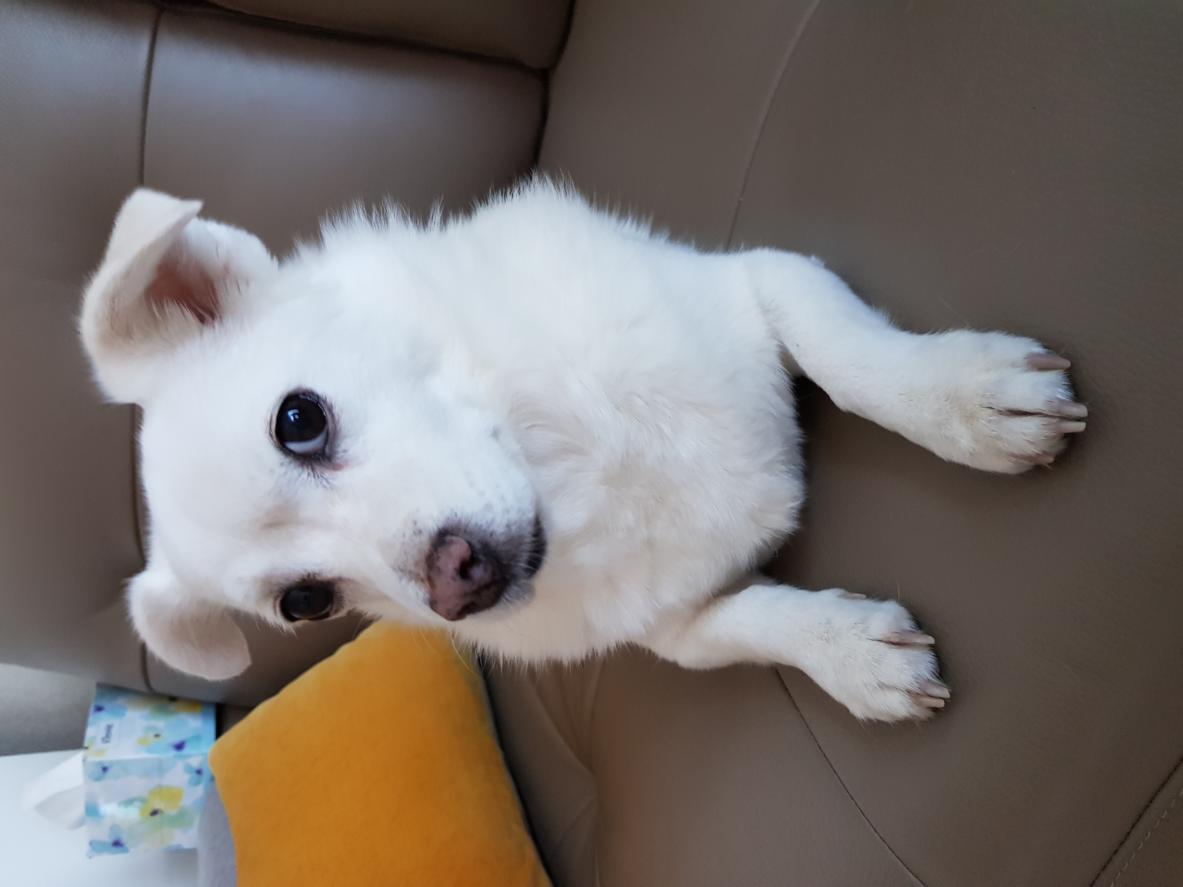 흰자 엘리스 잘 지내고 있어요~