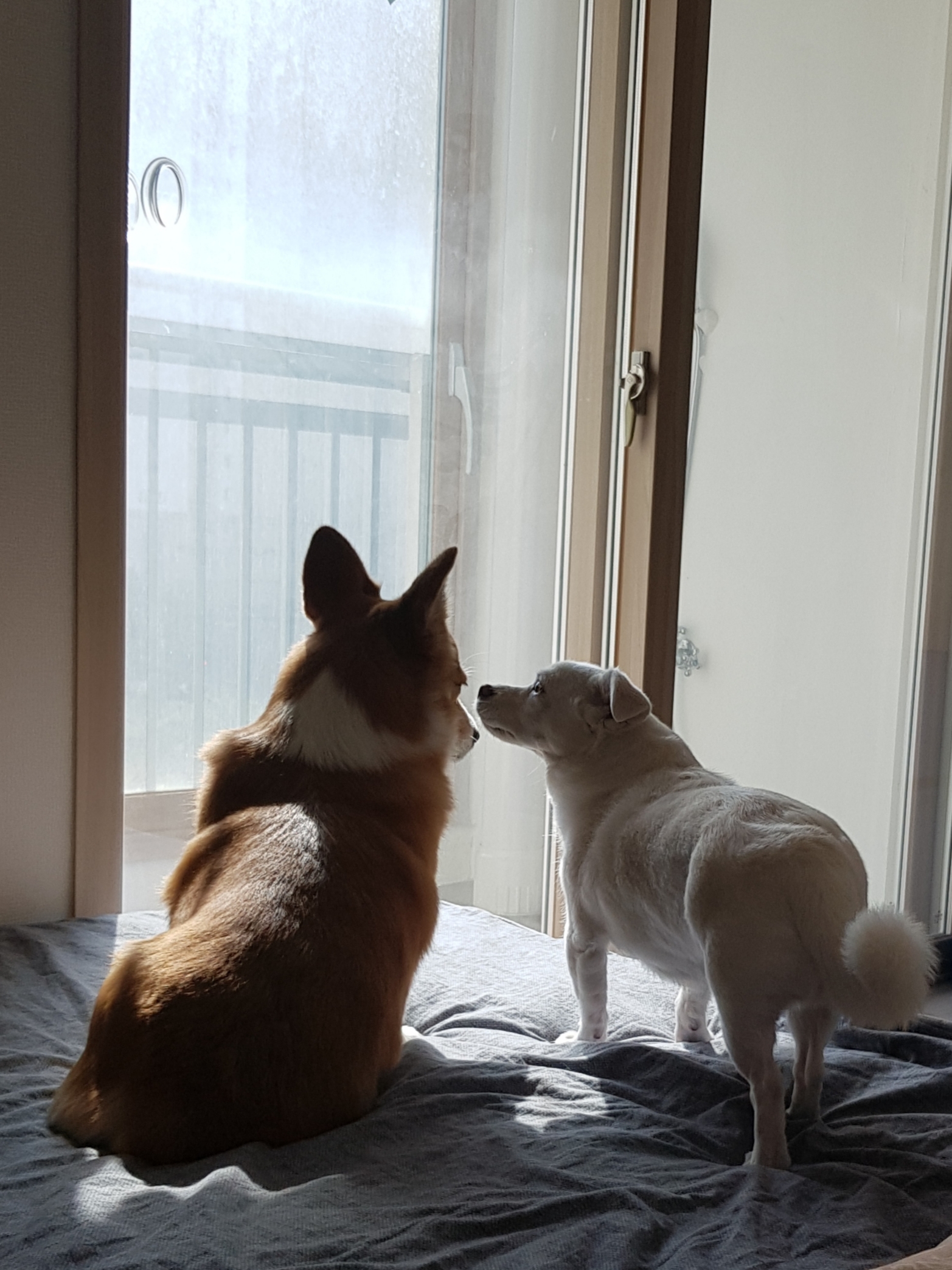 흰자 엘리스 잘 지내고 있어요~