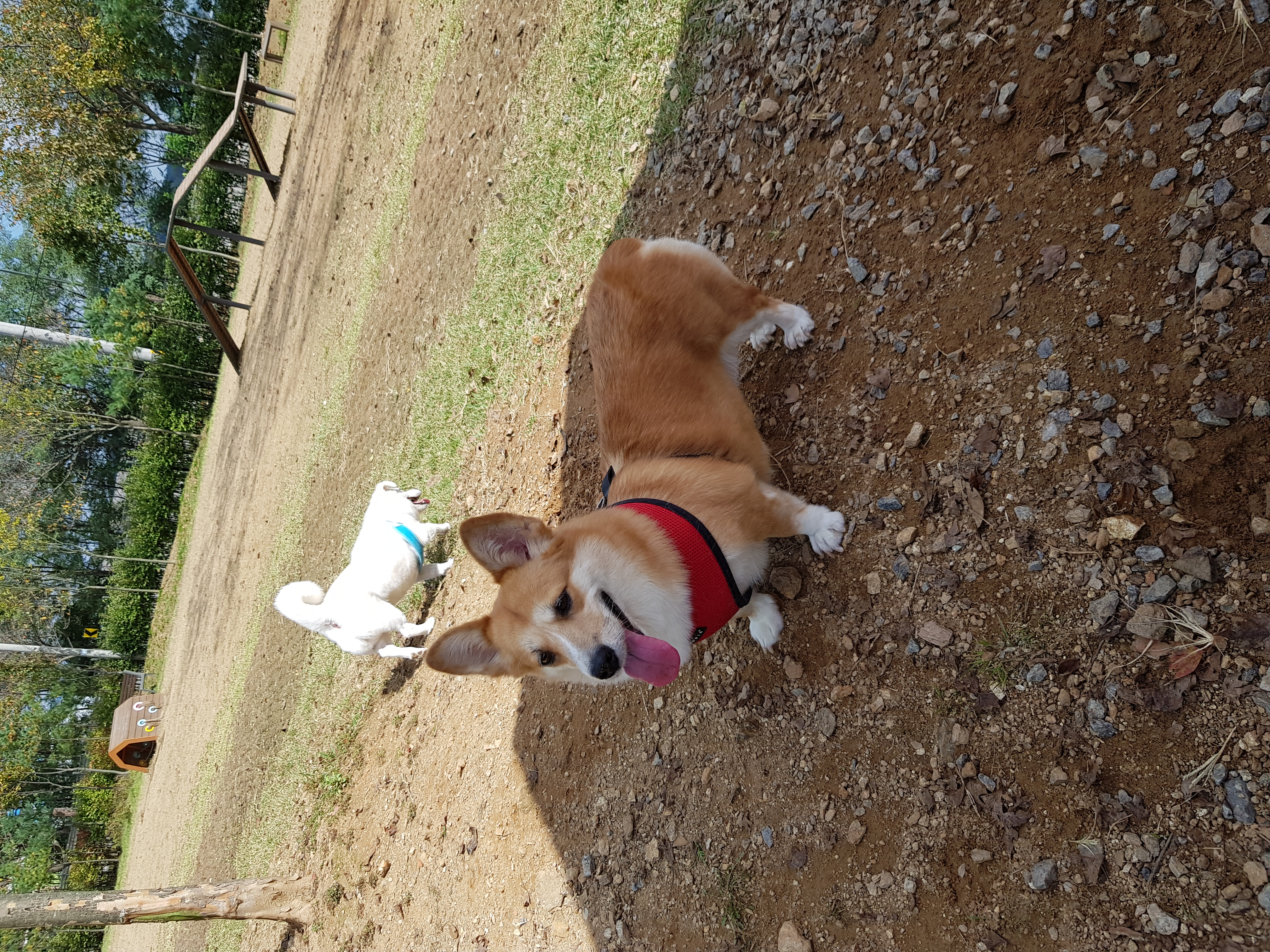 흰자 엘리스 잘 지내고 있어요~