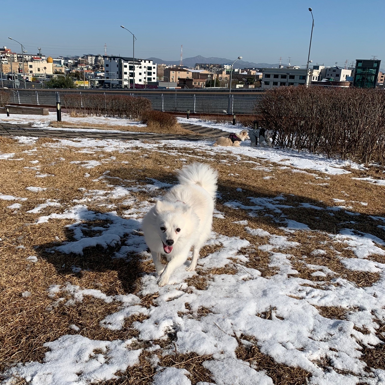 휘핑과 23일째 연애중~