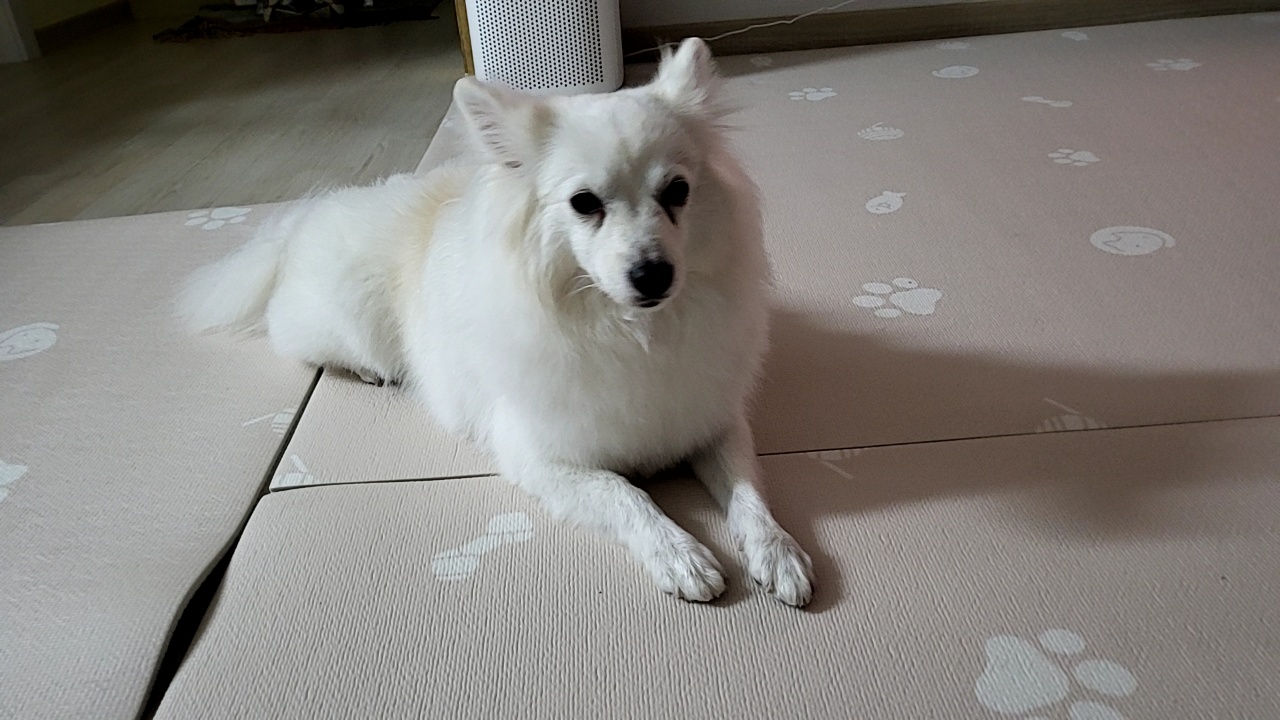 휘핑과 23일째 연애중~