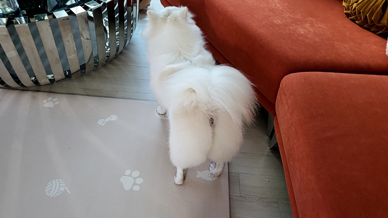 휘핑과 23일째 연애중~