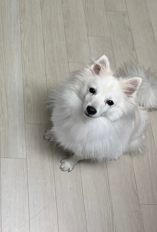 휘핑과 23일째 연애중~