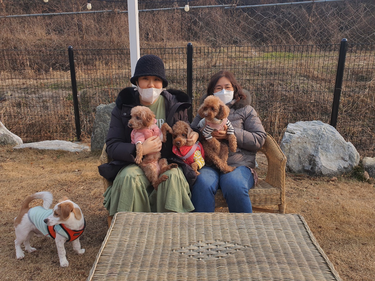 치치의 9개월차 근황 알려요! 