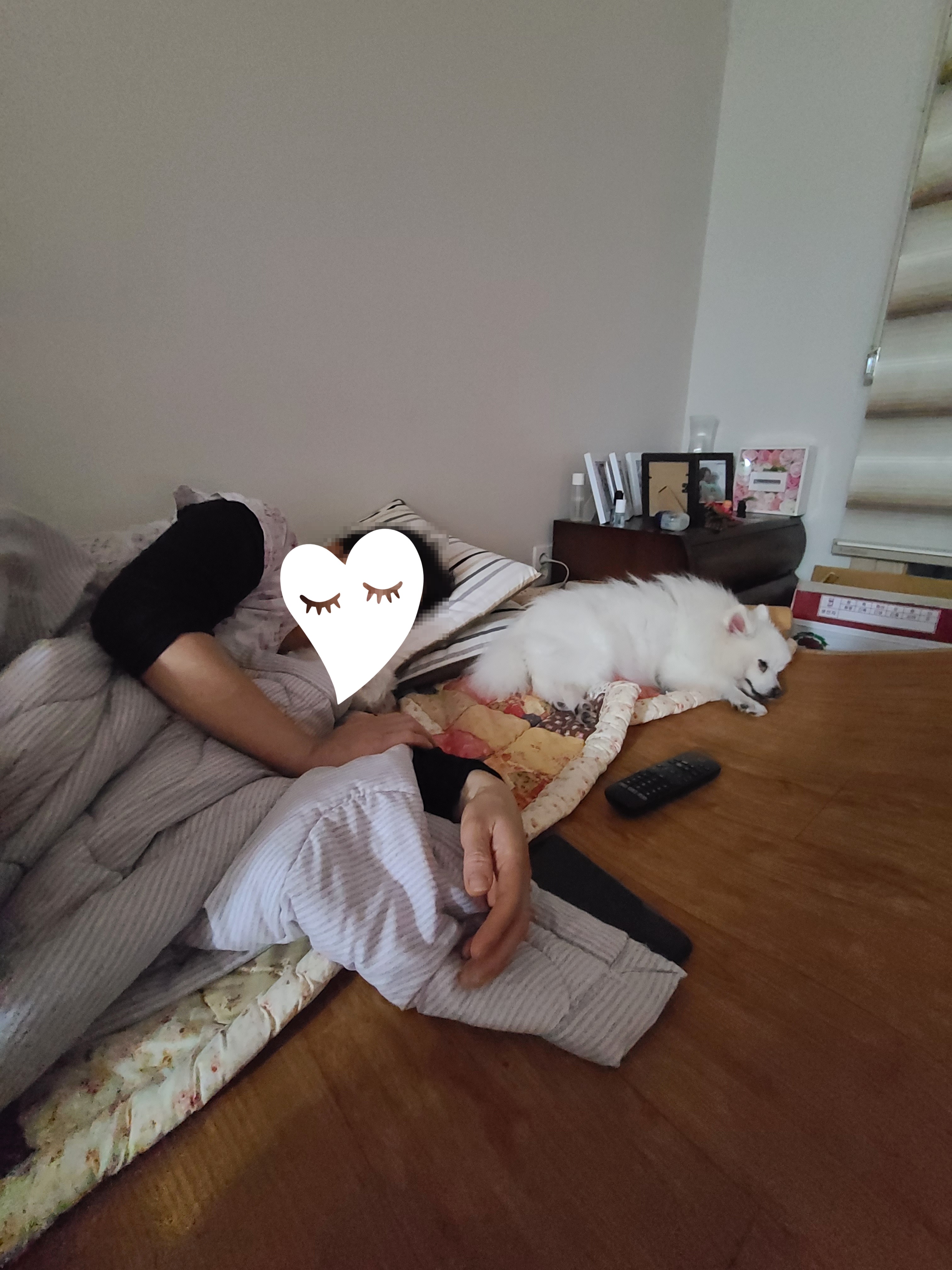 단비(곤지암 포동이) 집에 온 지 2주 됐어요~