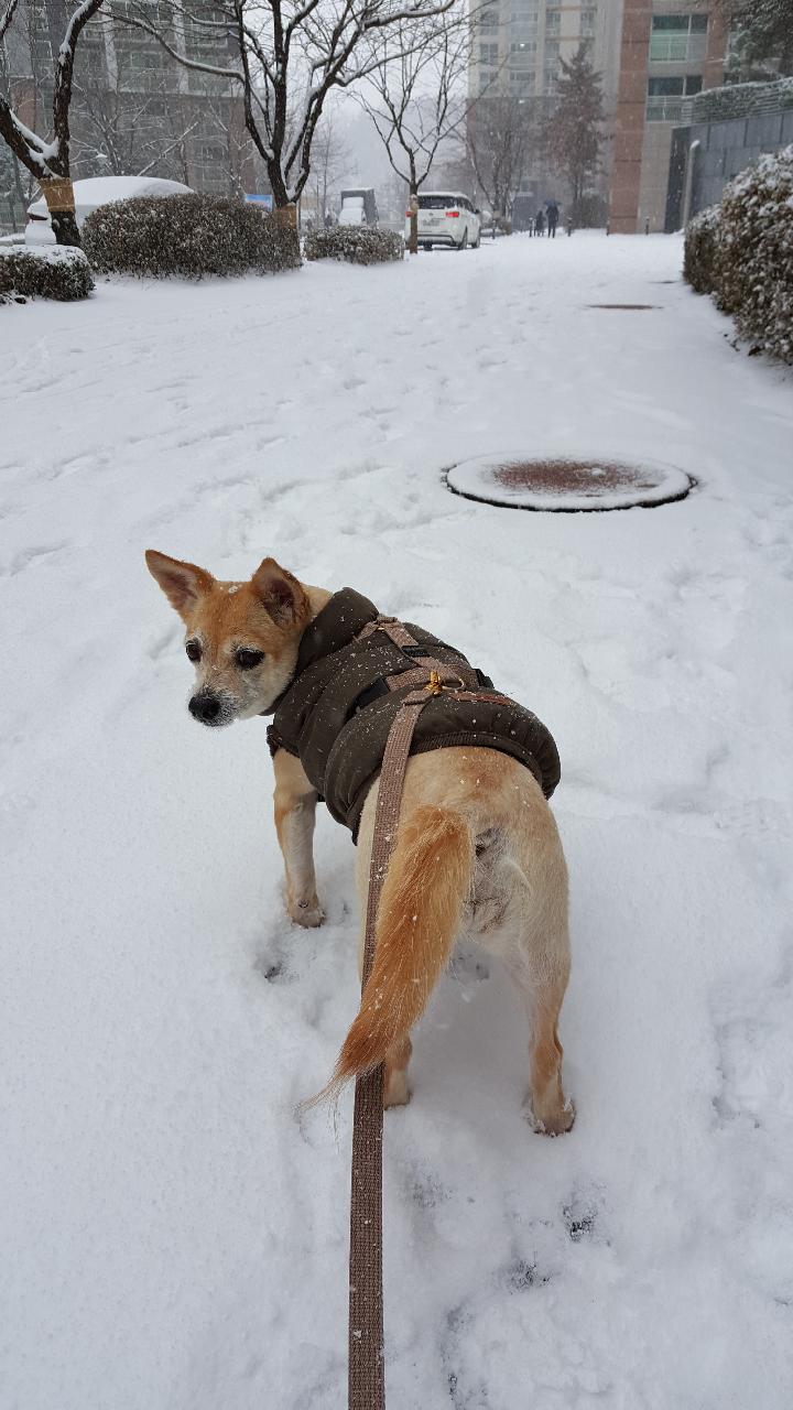 공주 근황입니다