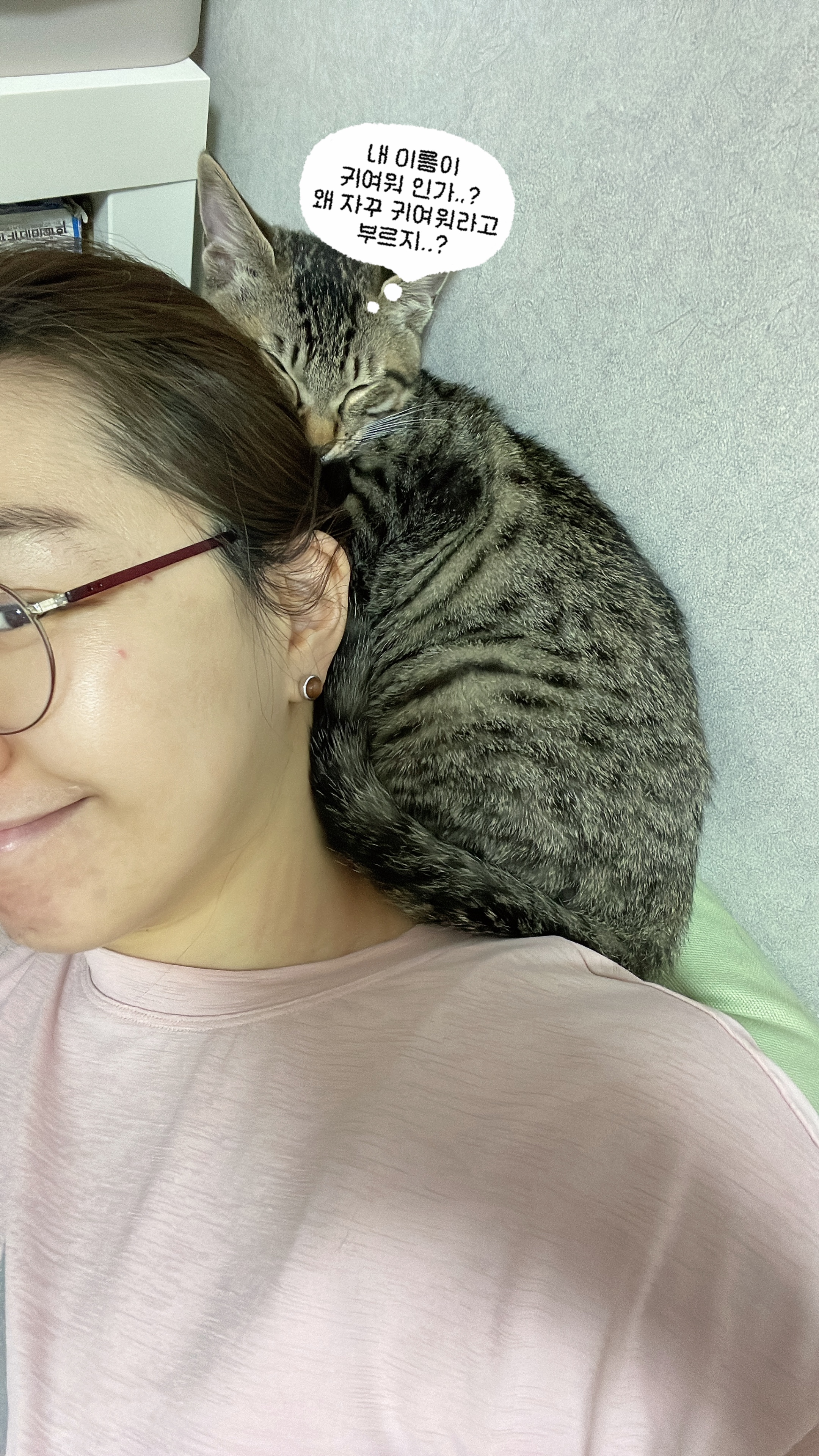 우리집 막둥이 정석이